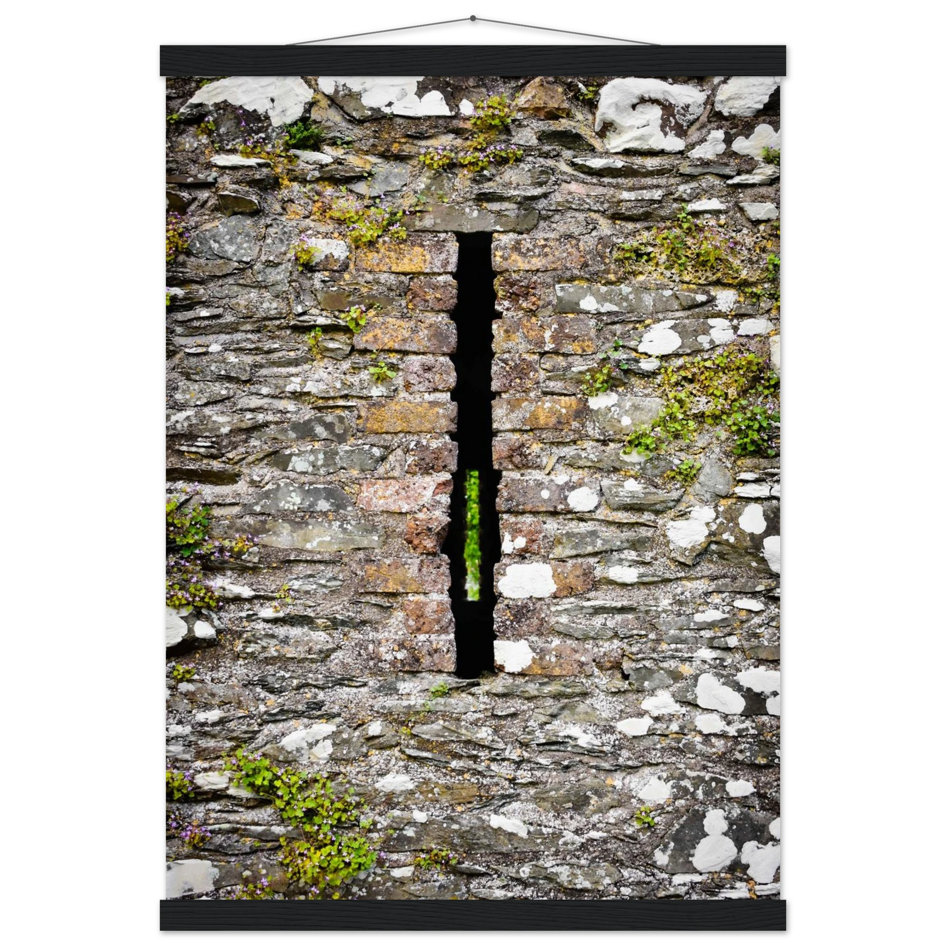 664991f8-3bb7-479e-997d-03f8d56cbc45