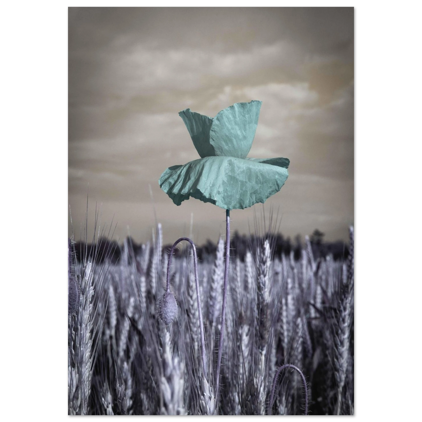 66741b0d-b665-4c9d-a030-c3767b73296d