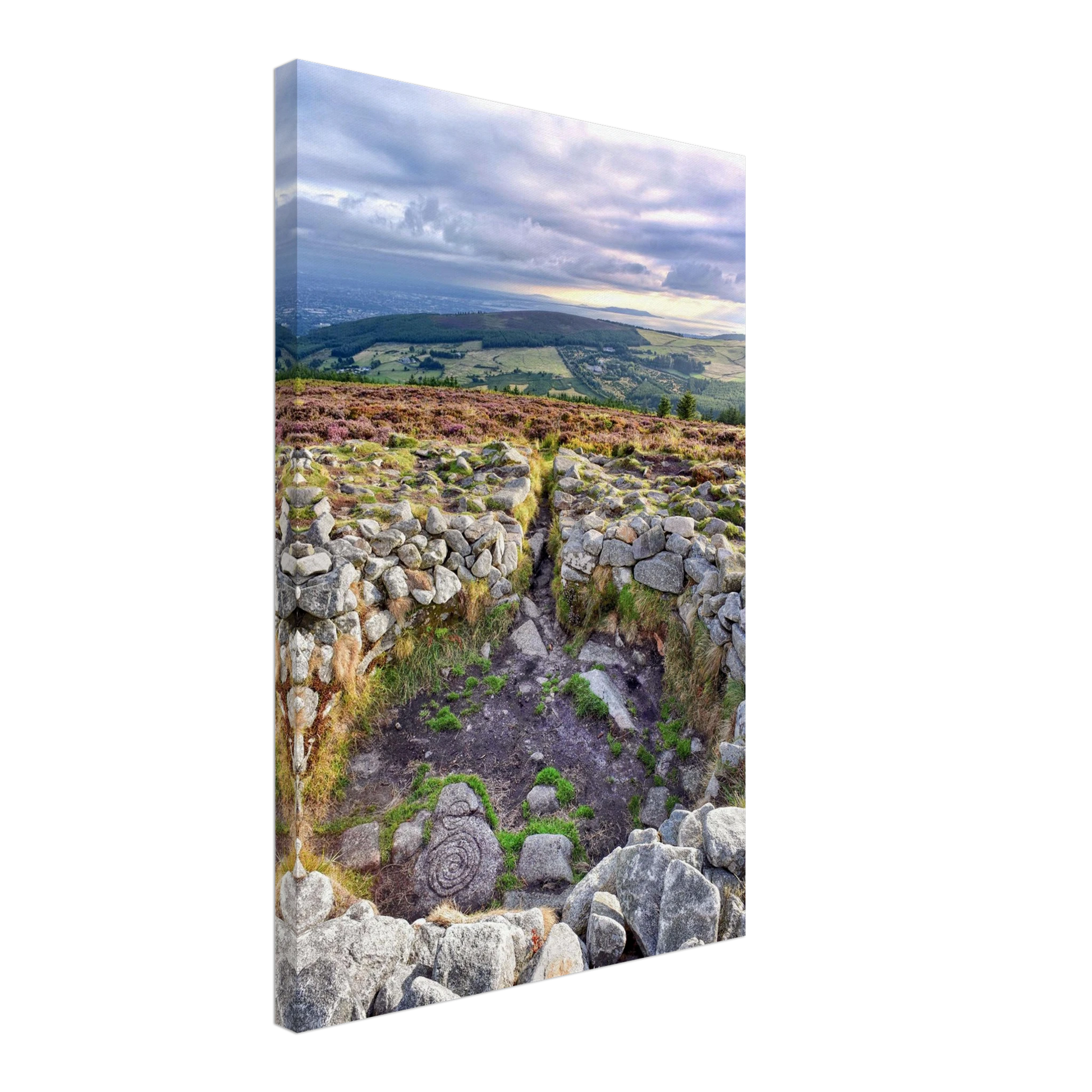 66811952-146e-49c2-87f0-99ef5ea202fb