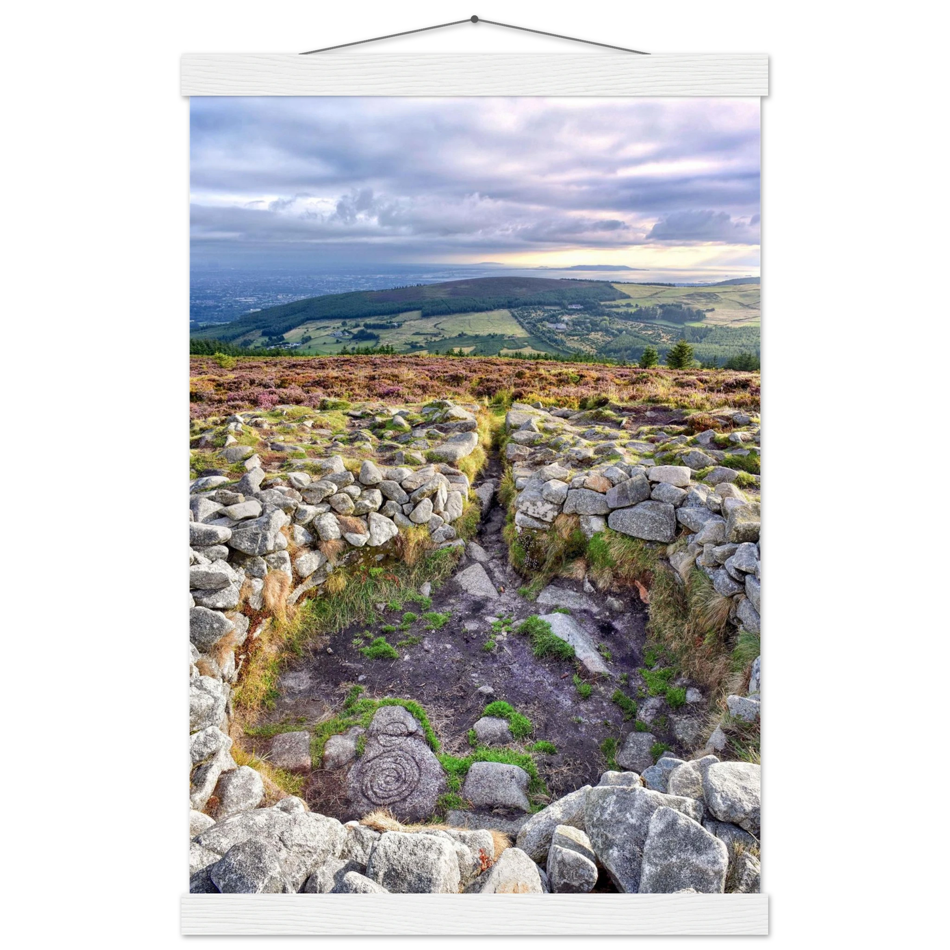 668cfad2-56dd-40a4-95fa-5e301fc81b13