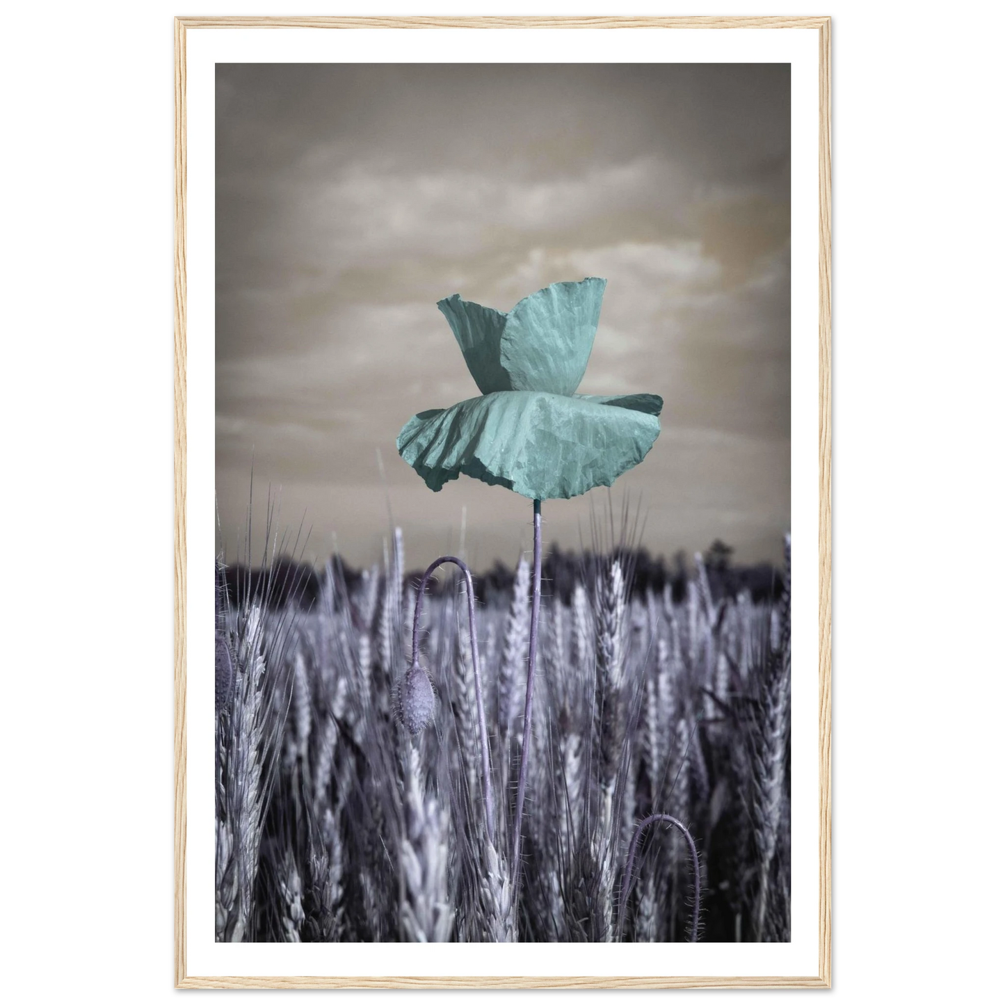 67473c67-2601-436c-991f-17165ac550d1