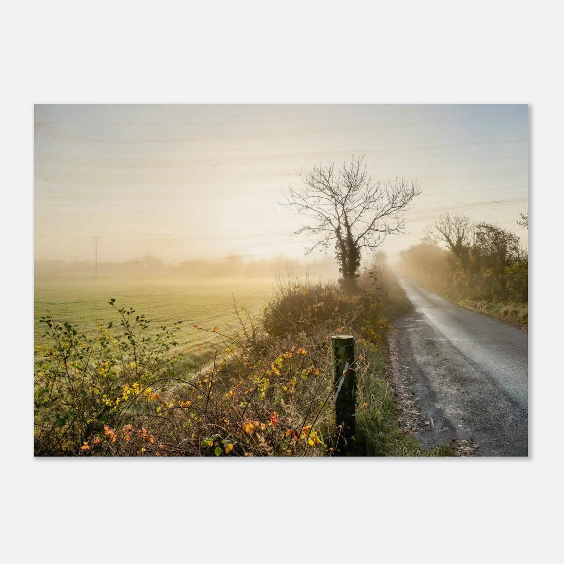 67a94ac4-26d8-4e60-92f0-458230d7b3f7