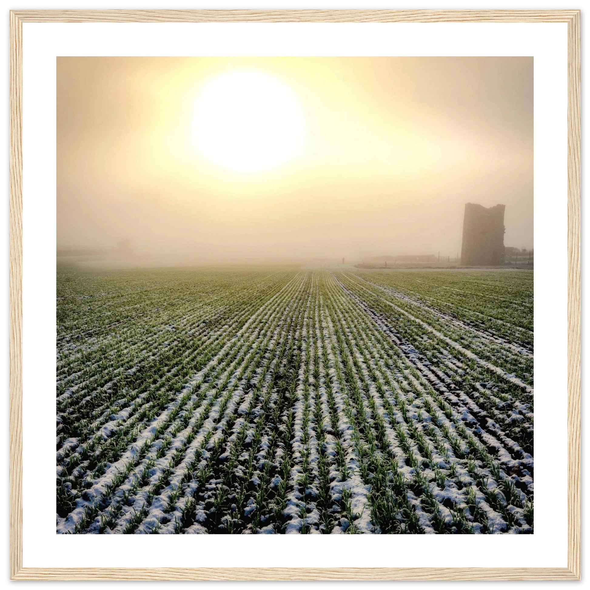 67de8d38-9f47-437c-a091-a1a5024ab5c9