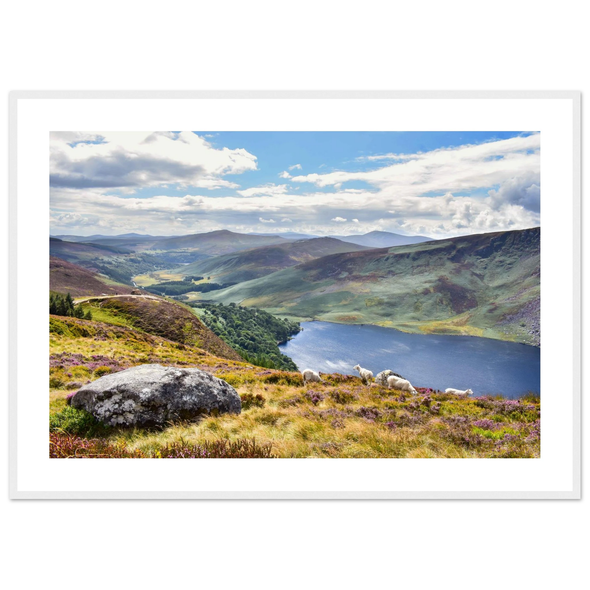 681b66dd-cf90-4580-8a1a-819e5b422c14