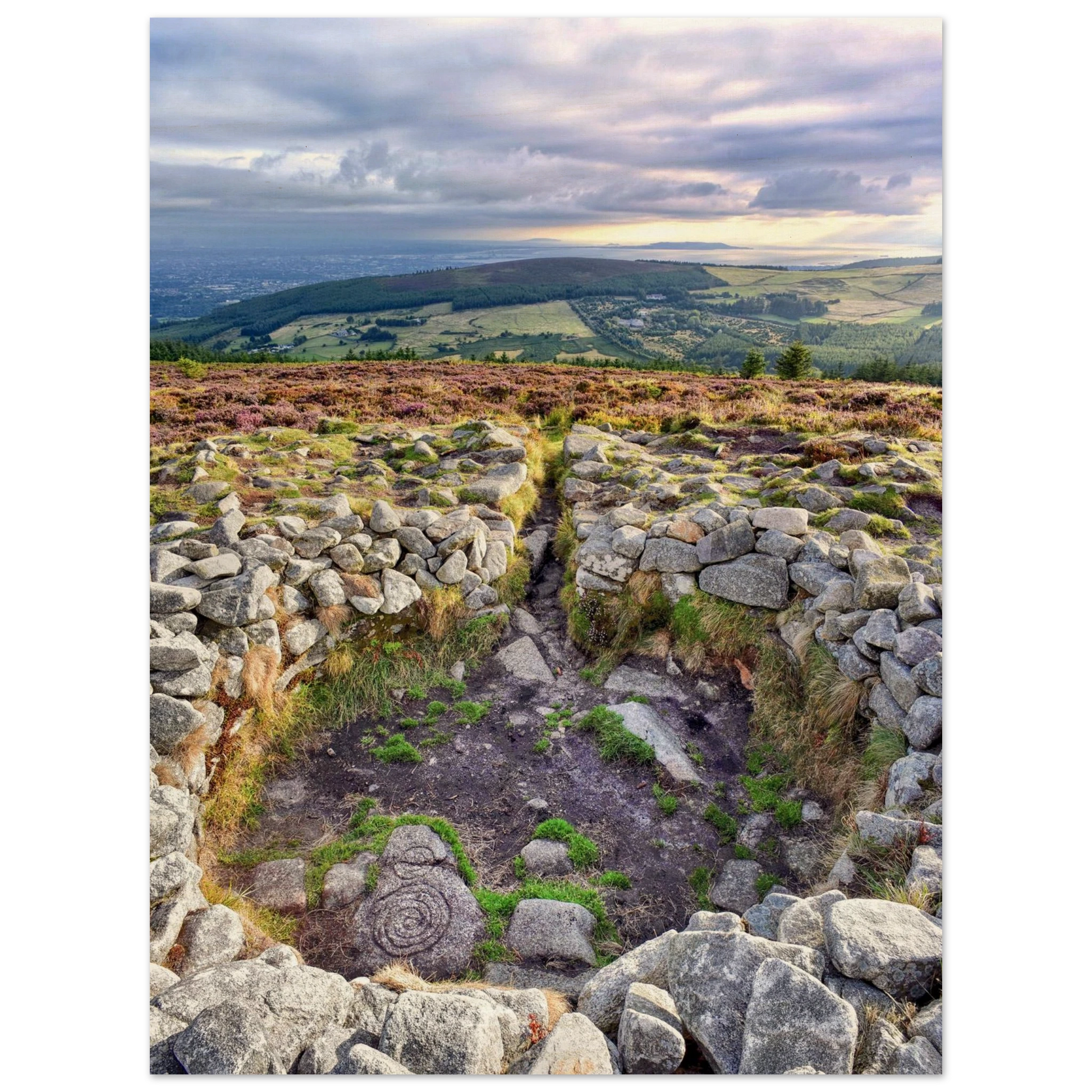 68c85e9d-eba1-4d73-84b4-4b3dac9f824f