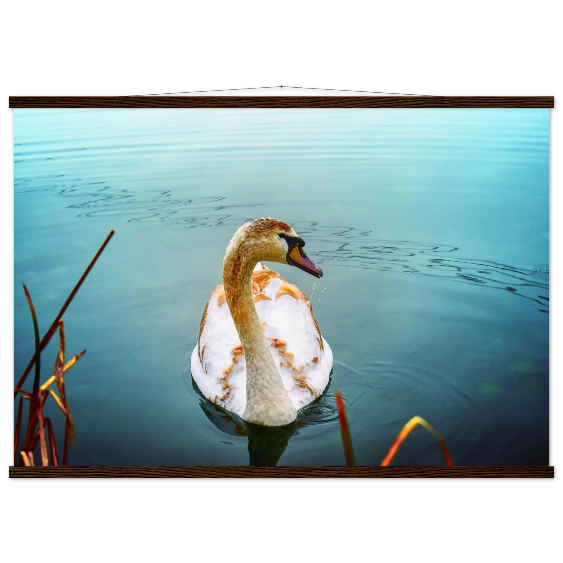 6a030271-c893-45c1-8109-74231d5b5560