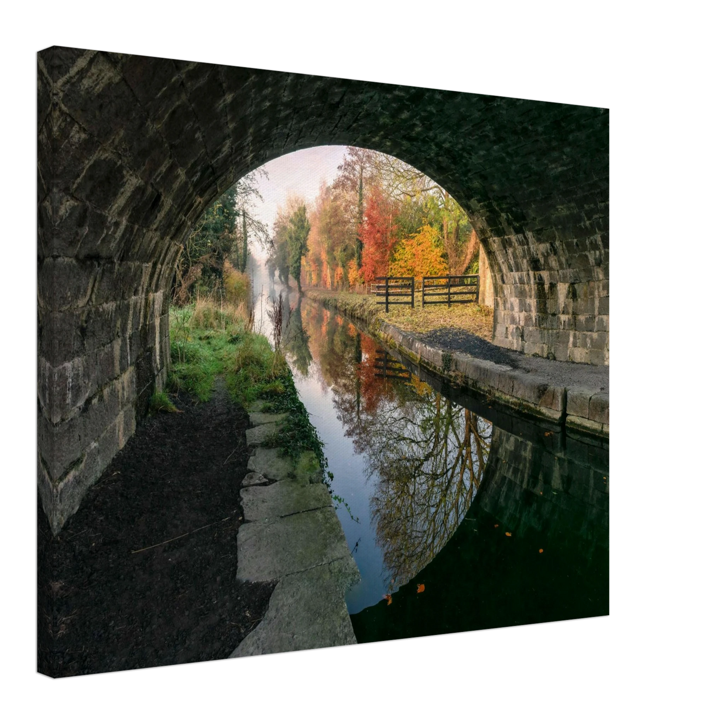 6a5552e7-3a17-44f5-a04c-54d6c9026860