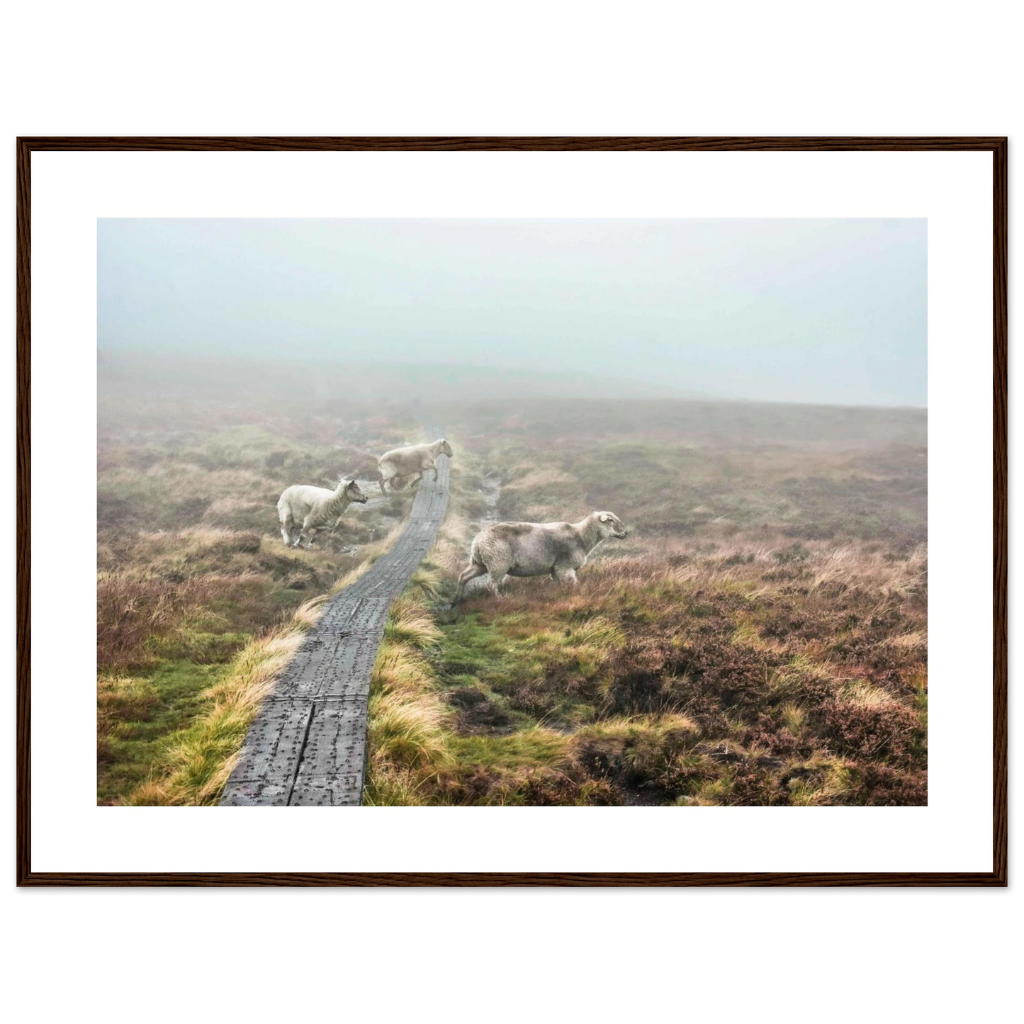 6a9facb1-2509-46d9-b3ef-1eeedb5d9c1a