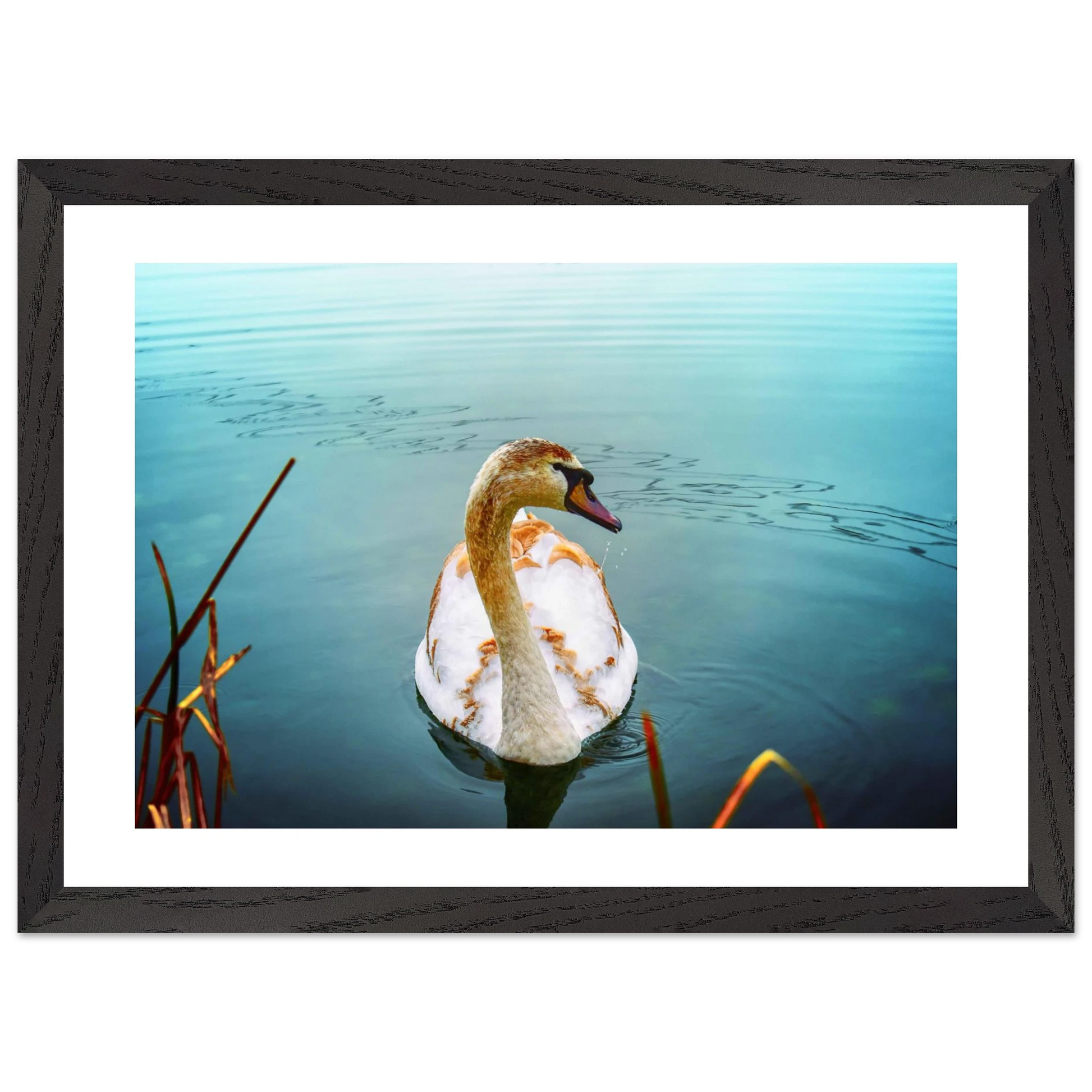 6b19439d-1fec-4d65-bbfe-4ba6555c44a0