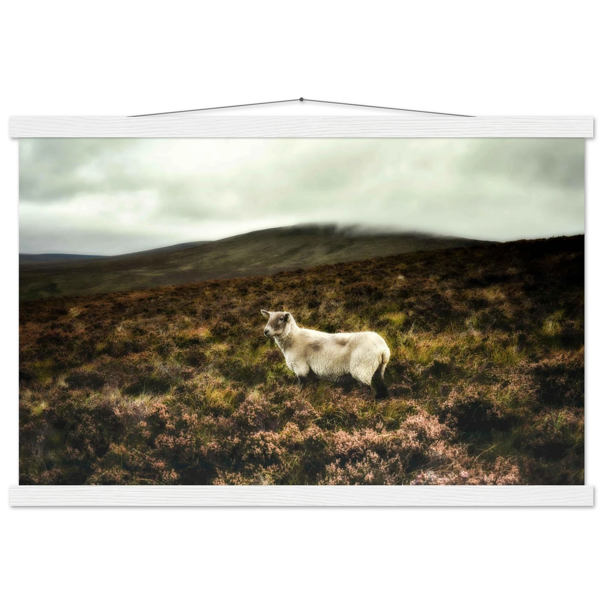 6b347008-24fe-4f40-836b-690cb29f8b56