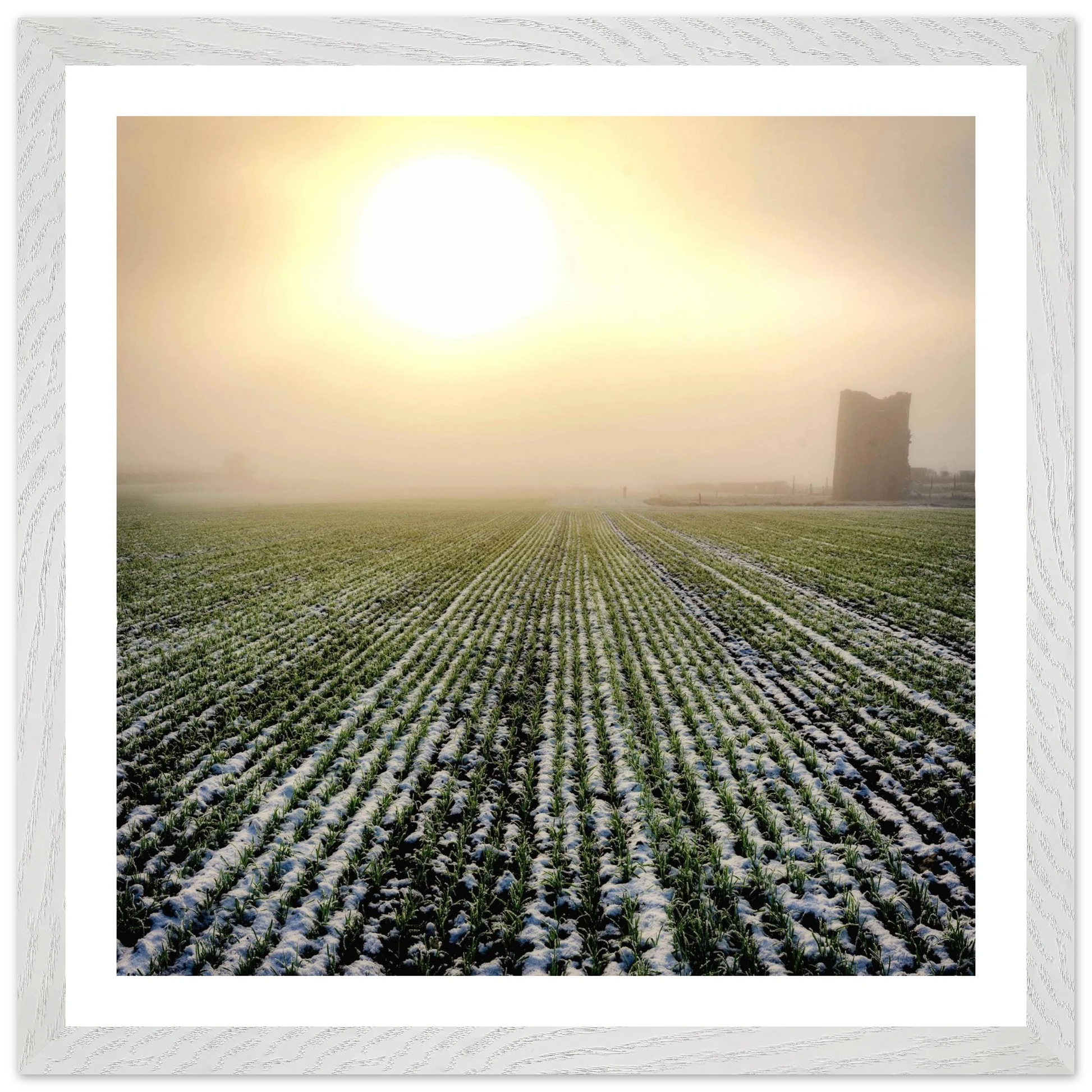 6b639d70-5a54-48a5-8846-03722629395b