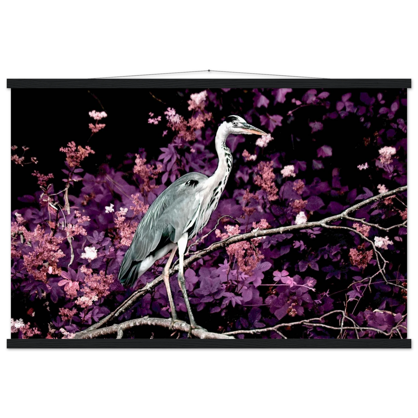 6c023472-d4d5-4610-a845-a4d2bc61a63f