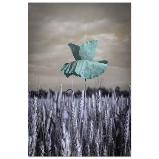 6c063511-923d-4727-b3d0-0ac8a7b68aa9