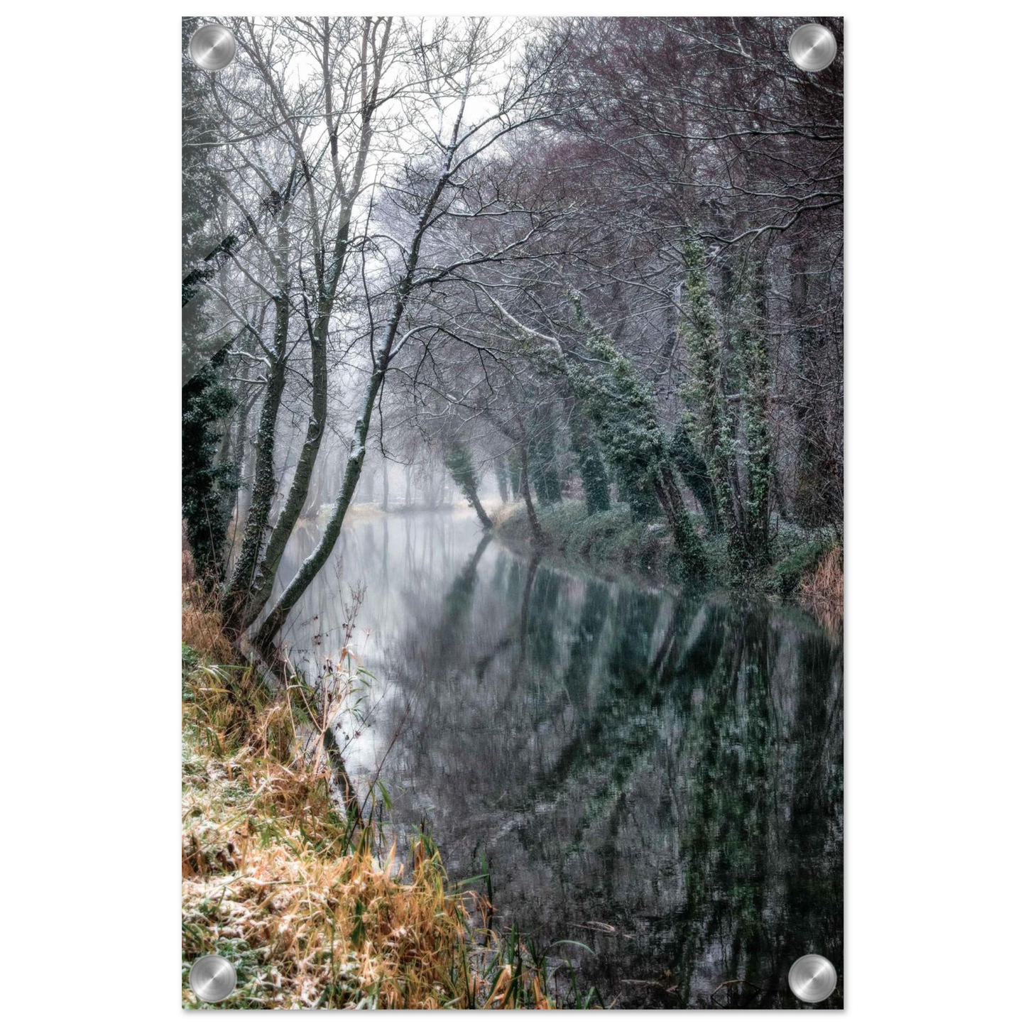 6c0c5d0b-e1b9-4065-b57d-341b66d24f4b