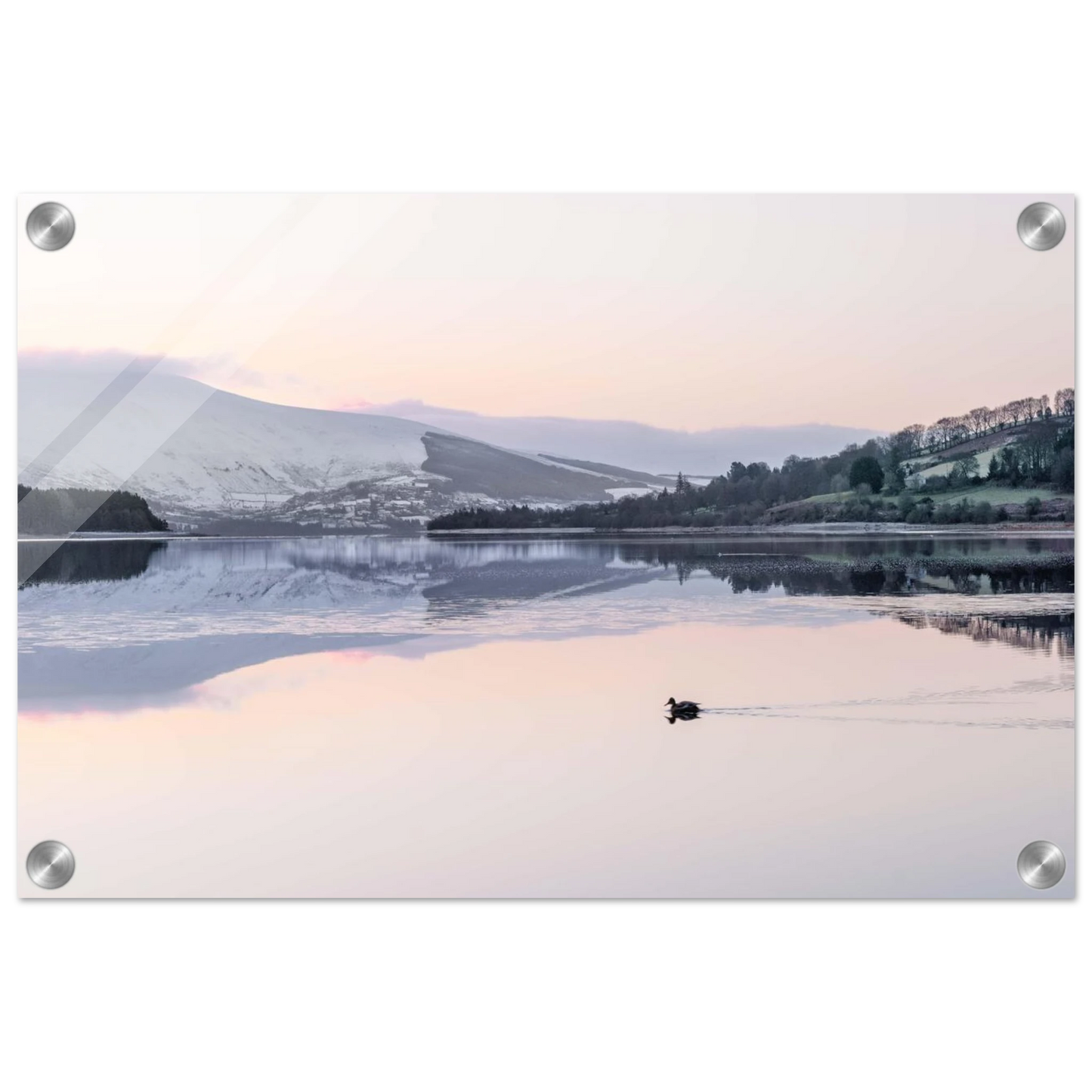 6c2151c7-ac40-4b36-abb7-9707694767c0