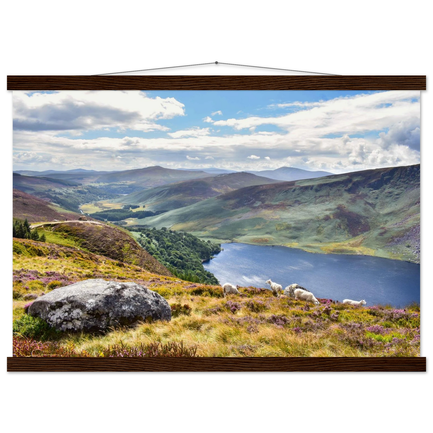 6c26544b-f175-4e73-b8f8-a2ca64744bc6