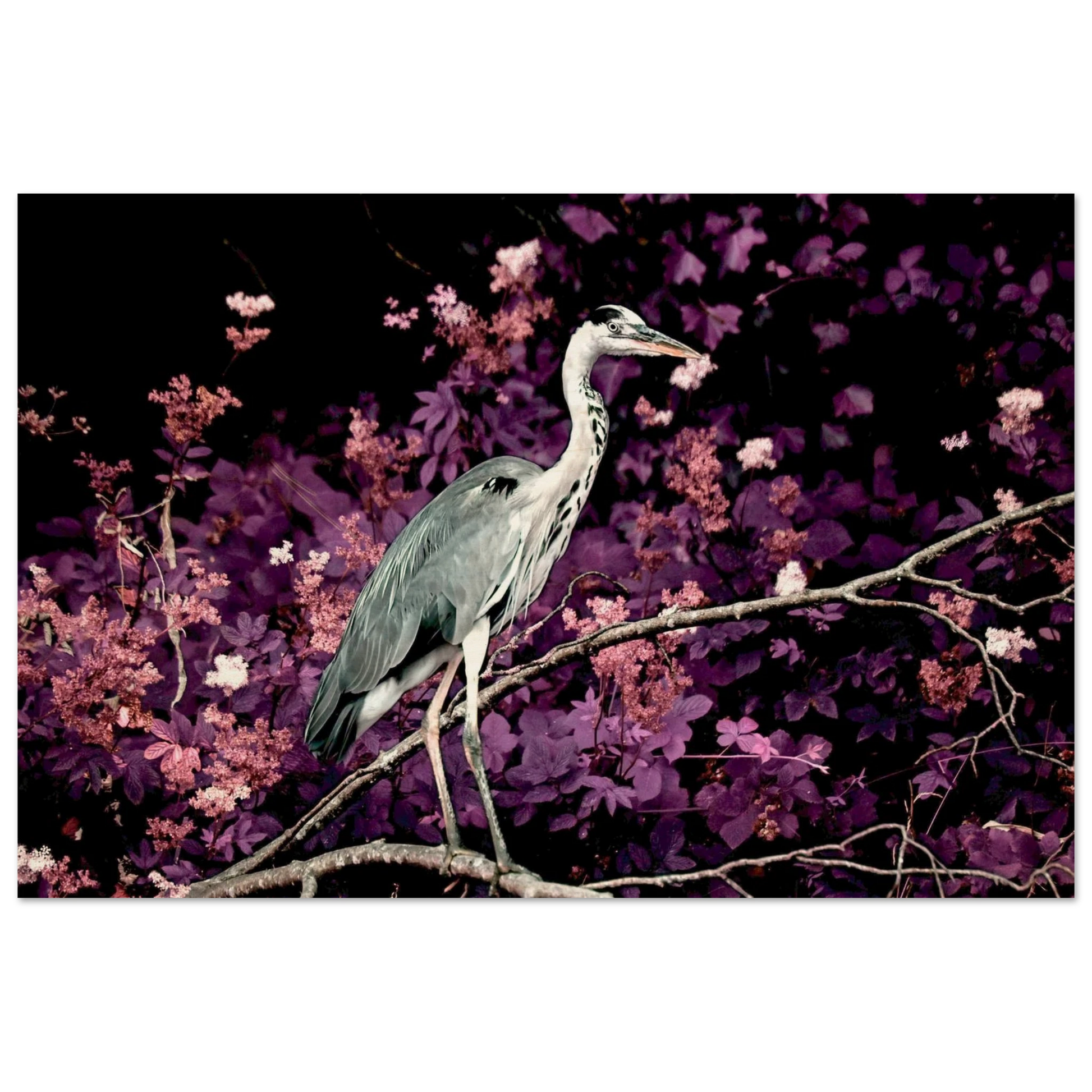 6c29ad45-a1e6-4218-b0bd-bfa69147ad71