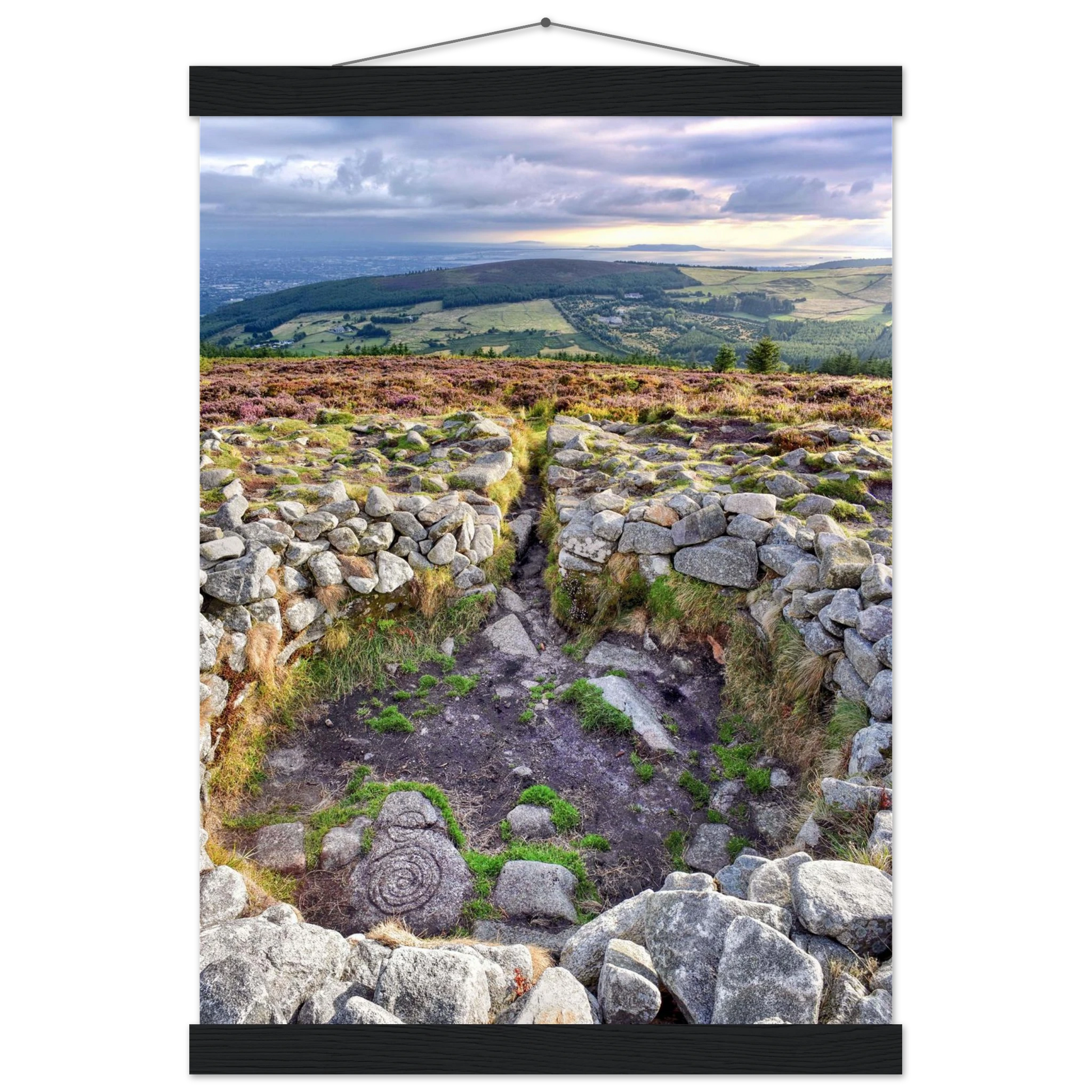 6cb7ab05-f253-46b2-b5fc-b2b09fdb75fd