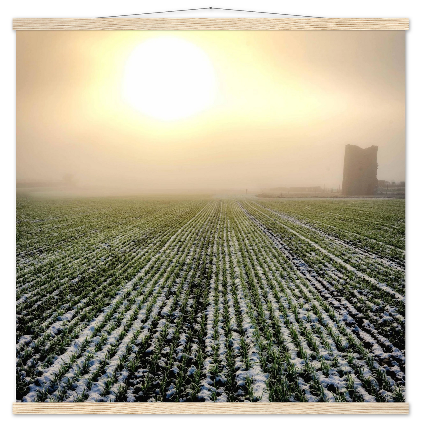 6d51cbf5-9ca9-41a9-bfe3-343a255ec9c2