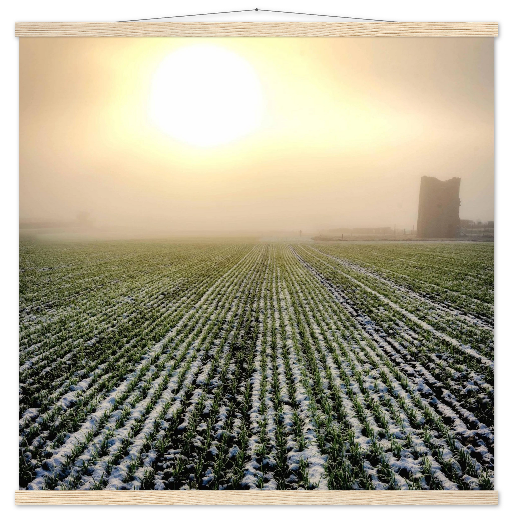 6d51cbf5-9ca9-41a9-bfe3-343a255ec9c2