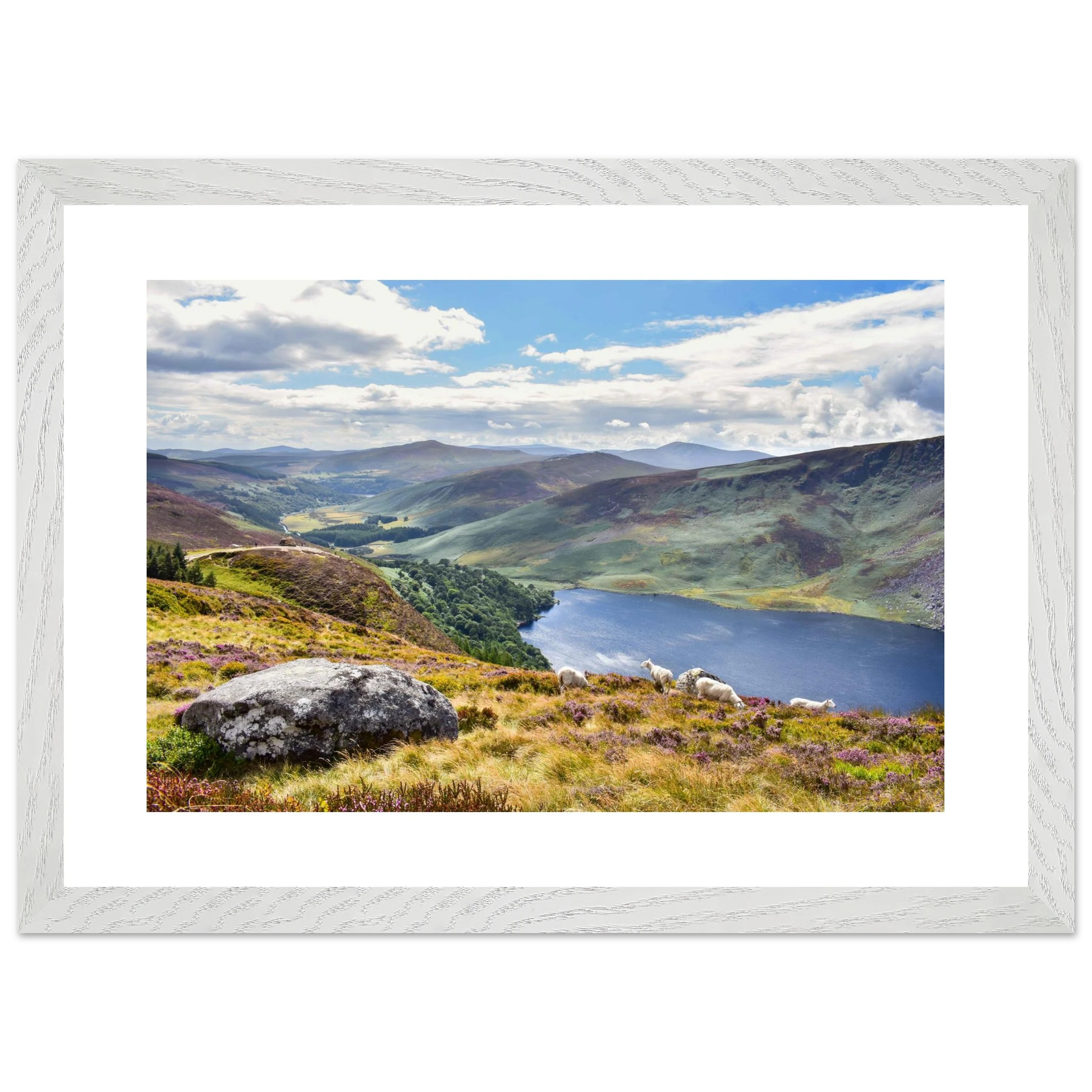 6dffd669-3954-4809-8241-10cd8f187a1a