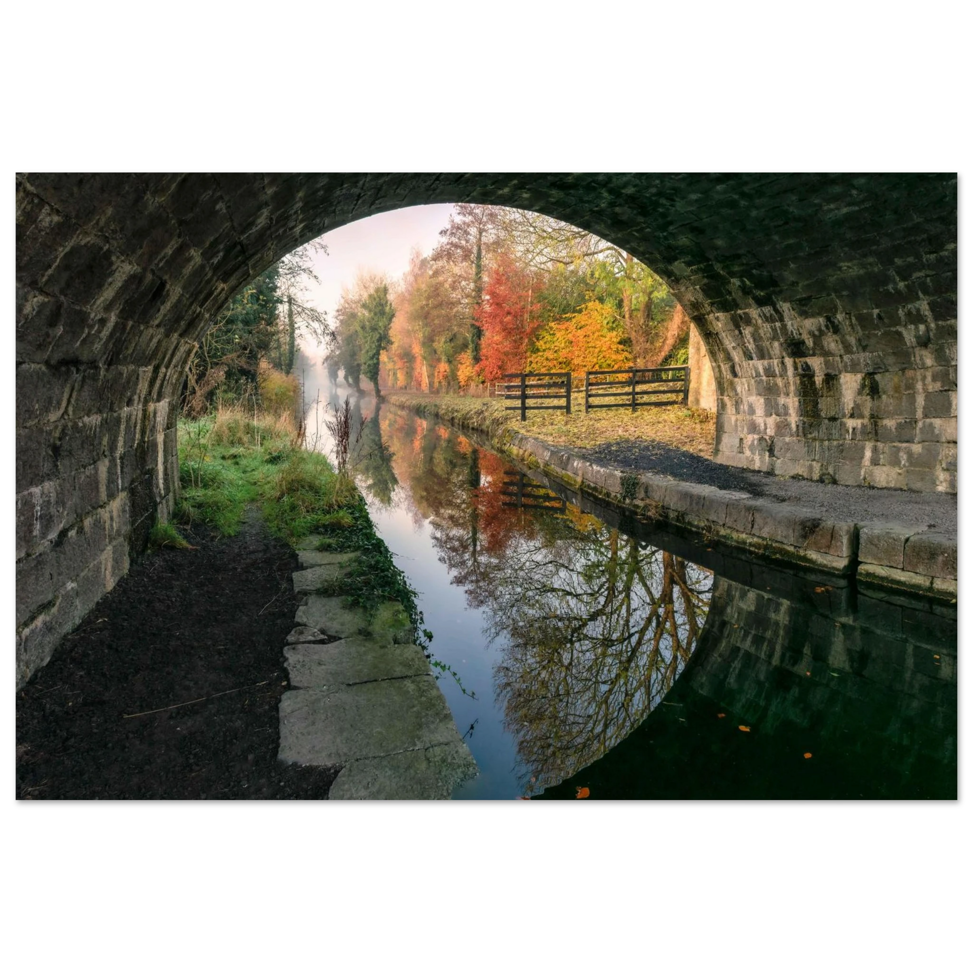 6e11ffea-77f1-4dde-9416-26ced9a97a61