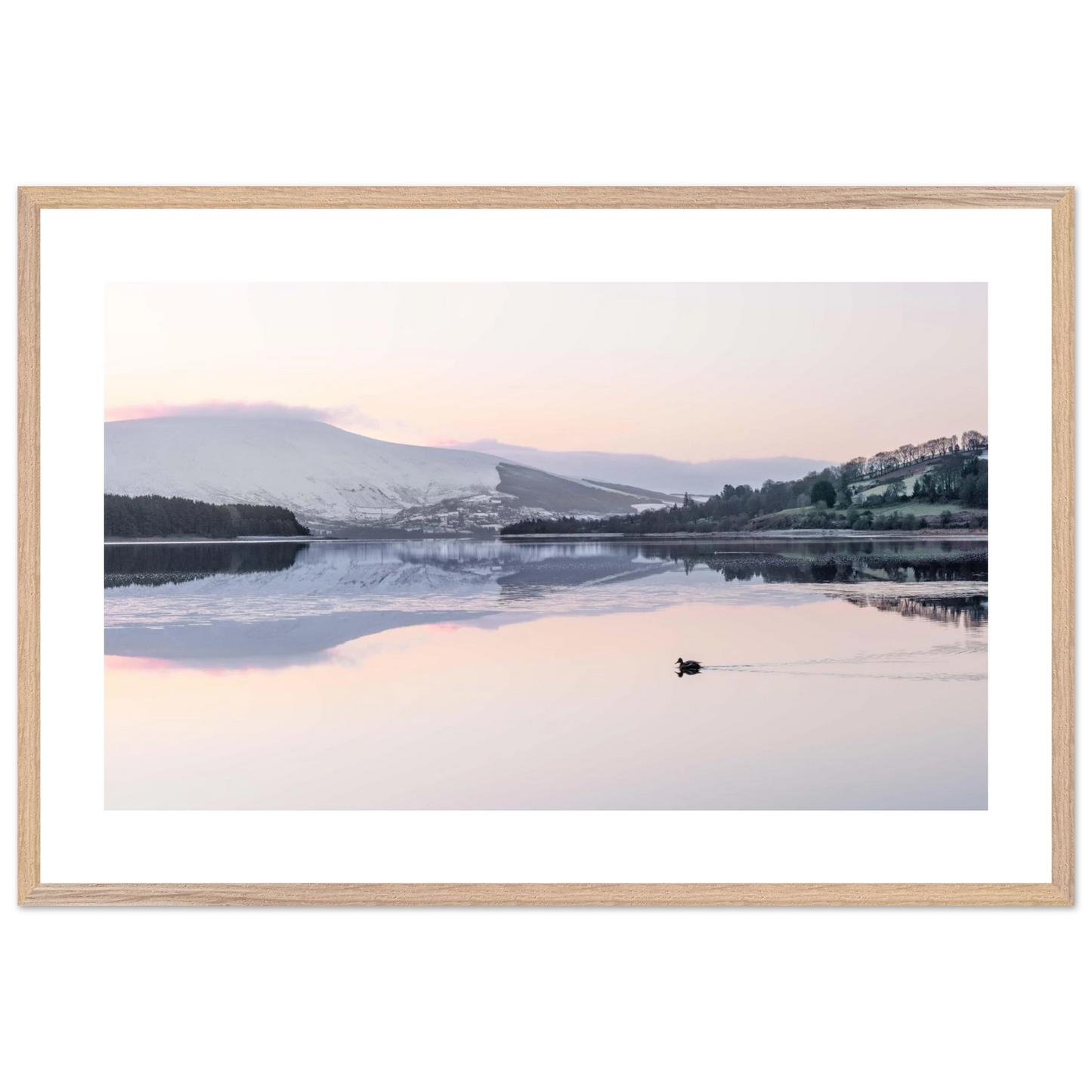 6eb5c8dd-ed18-4917-afb7-ab869be62ee4