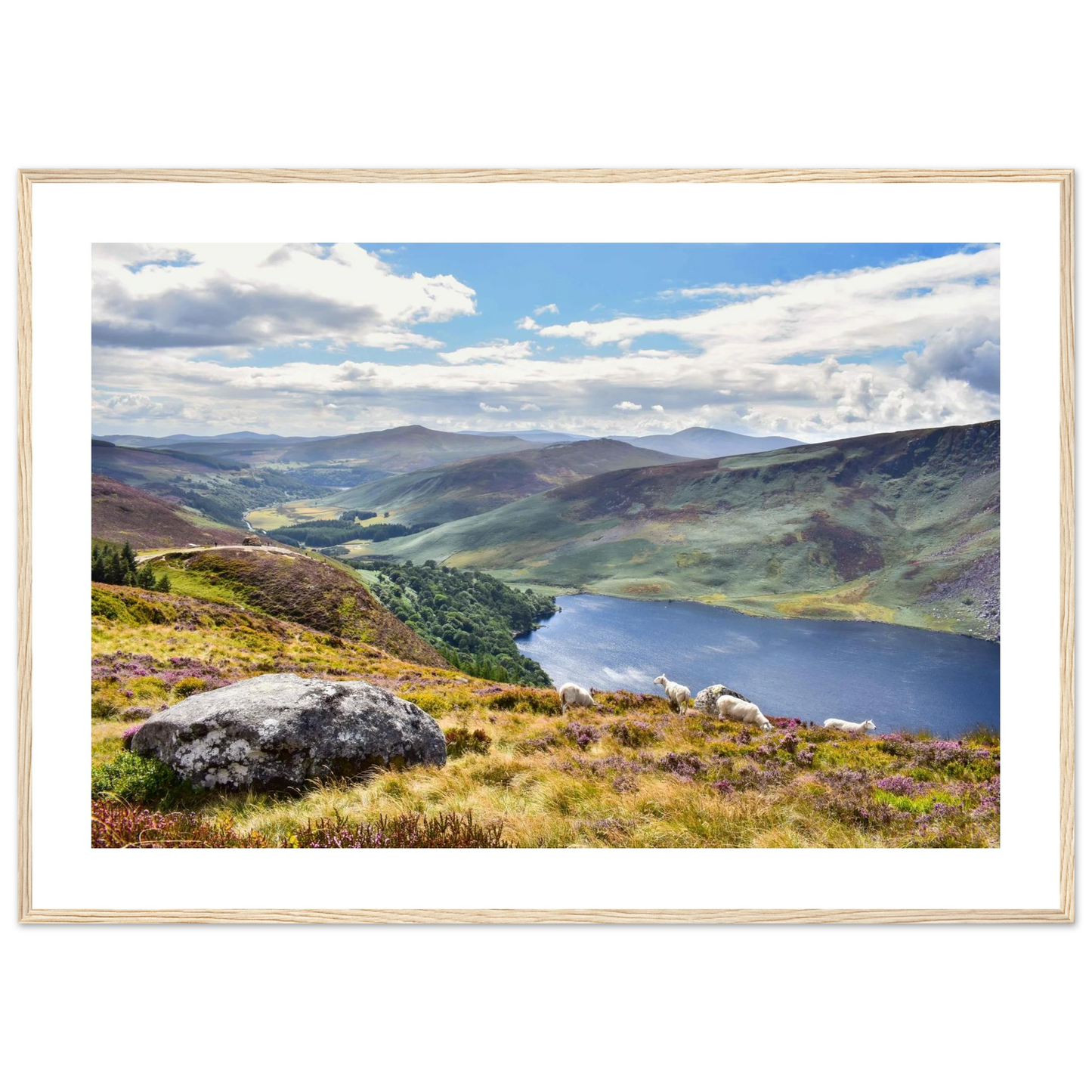 6fd379ed-65e6-4a6e-9b78-8810d2474e13