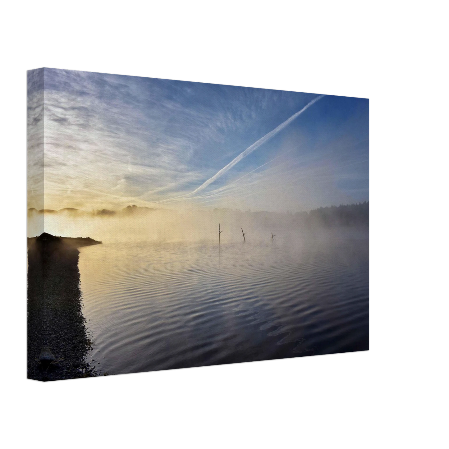 704eaa52-e489-44c3-b0ff-ddfeed926d17