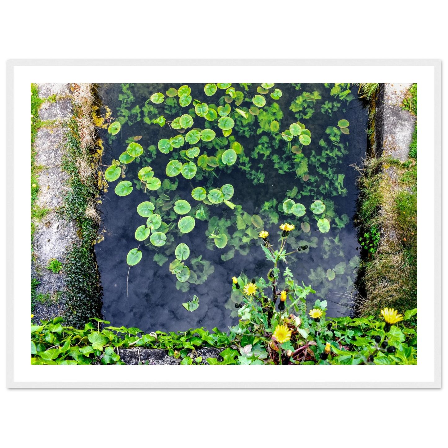 7066d525-1347-4df5-b56e-7025dd78862c