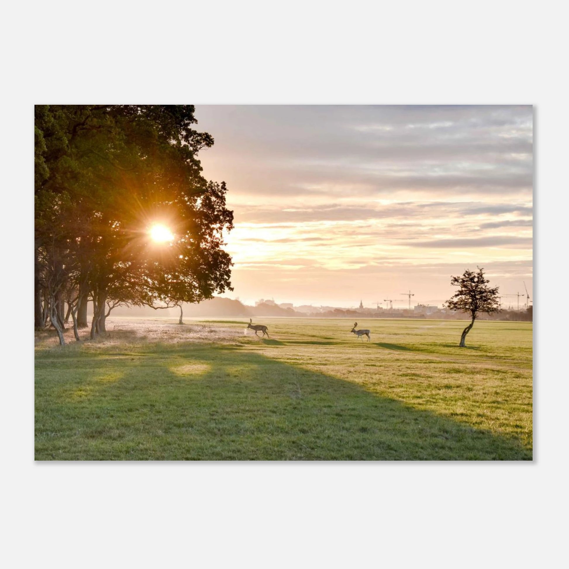 70b9a513-fdcd-43f9-a669-196208e3958a