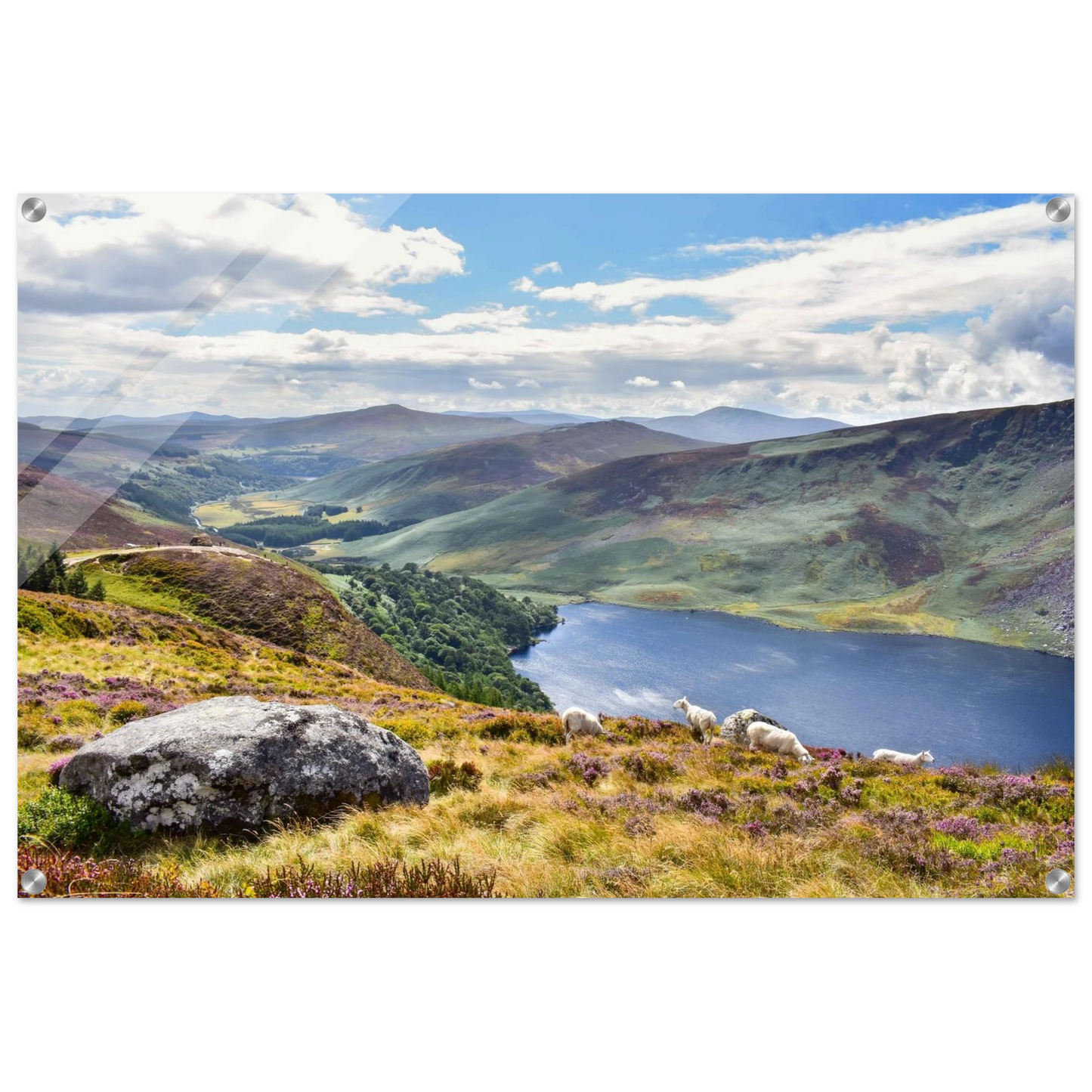 7161ad0a-bb33-4bb3-b75b-9d9cf2cbc78a