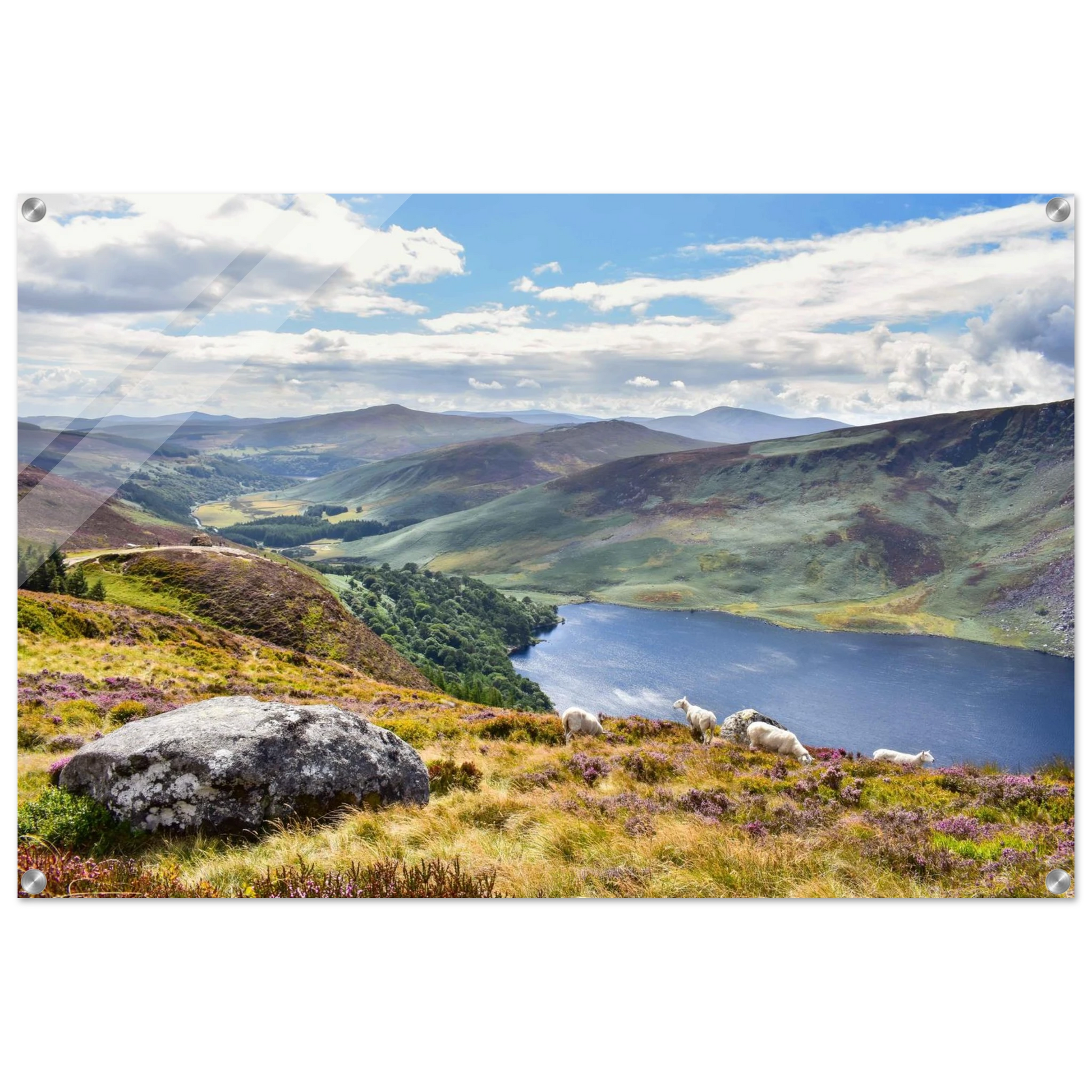 7161ad0a-bb33-4bb3-b75b-9d9cf2cbc78a