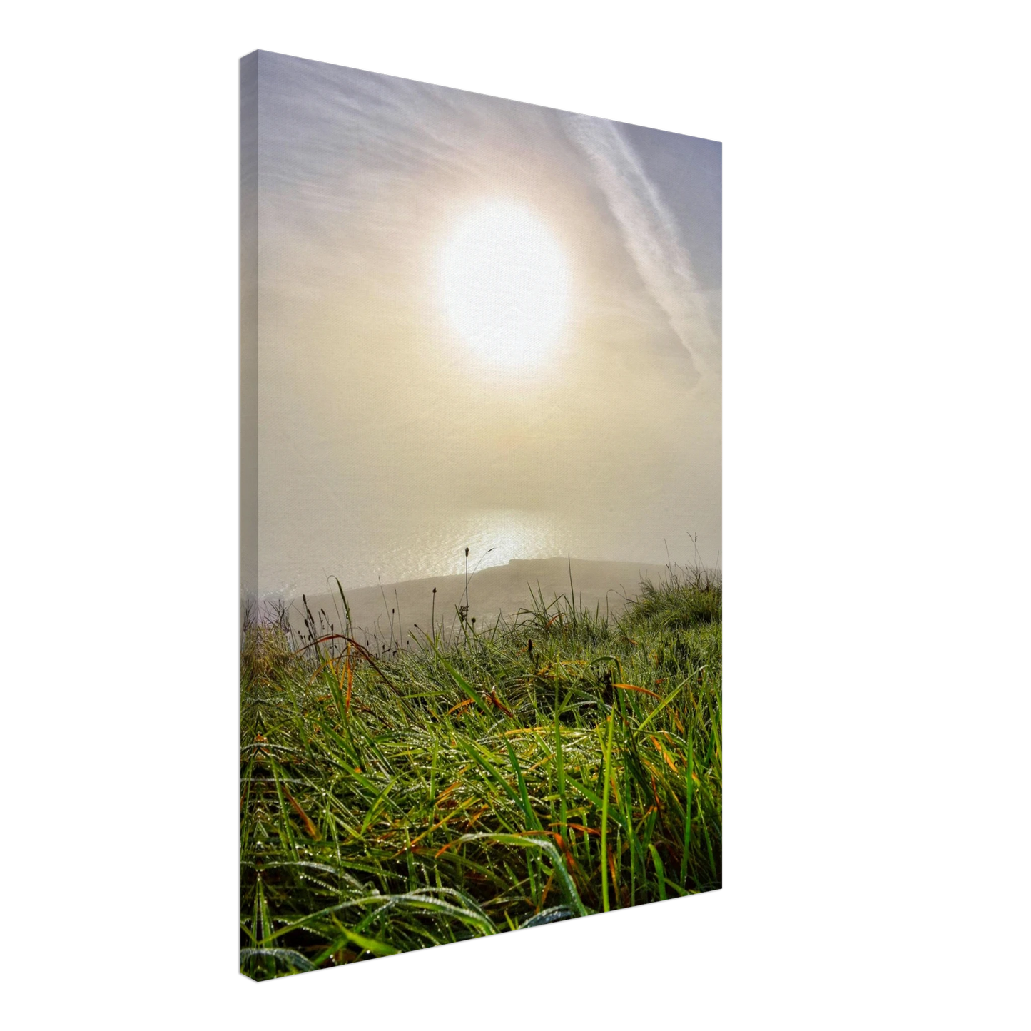 718d13f9-aaf0-4726-8c55-cbad7816dbff