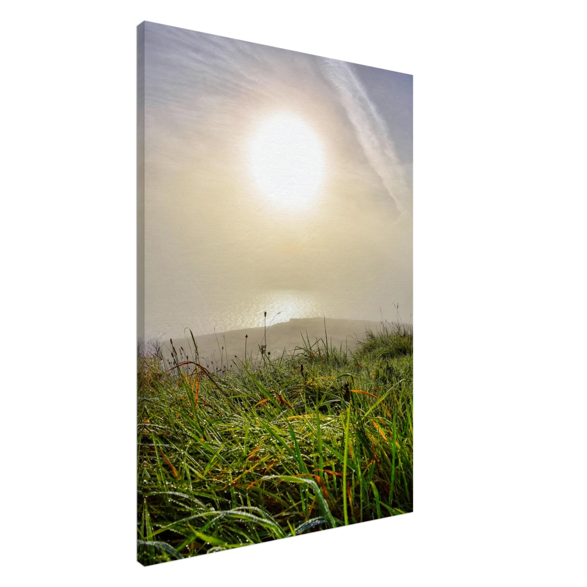 71a967b1-0b13-4d22-b2d0-b3a89b2cf99f