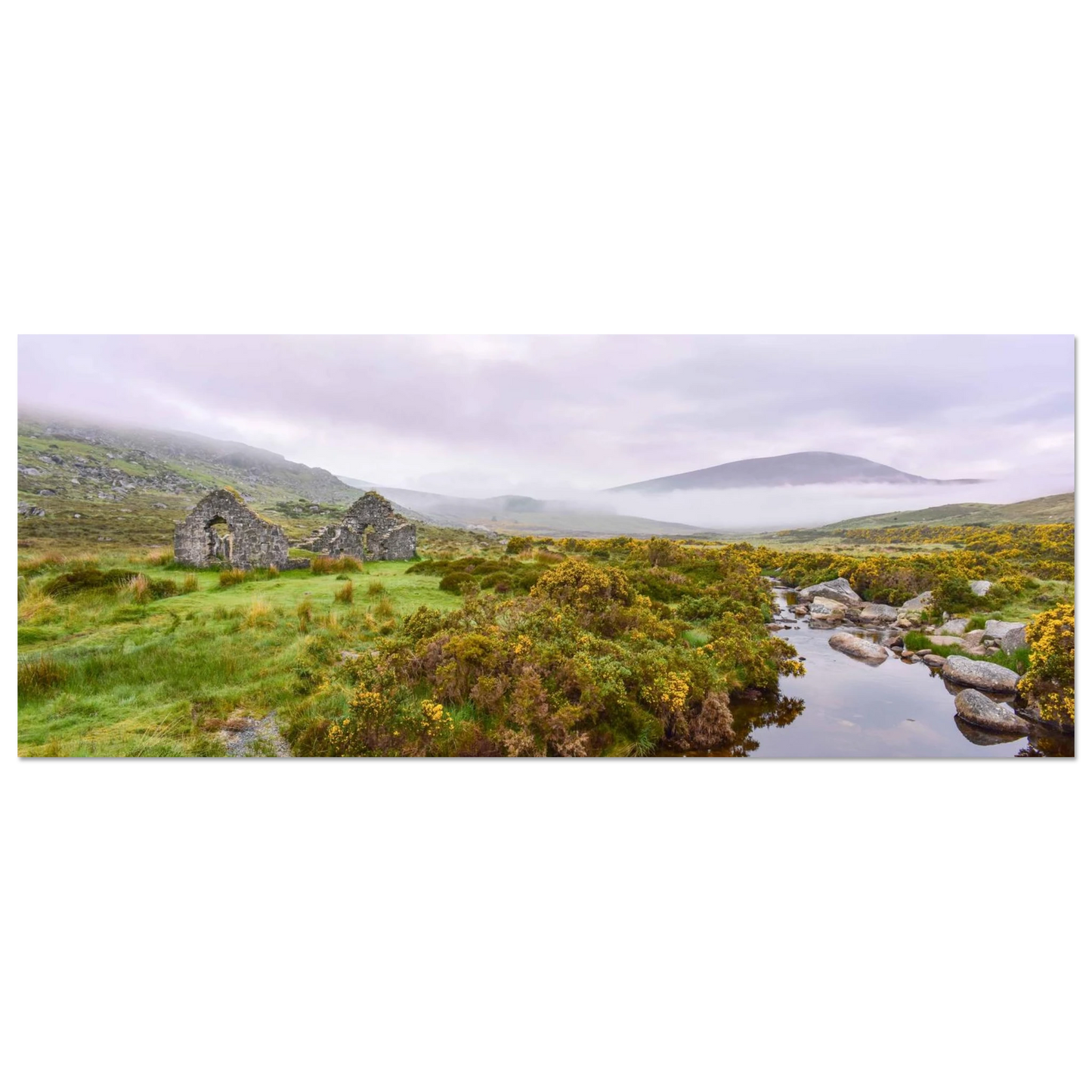 721317f9-2e22-4178-87a2-bb9f2448b2dc