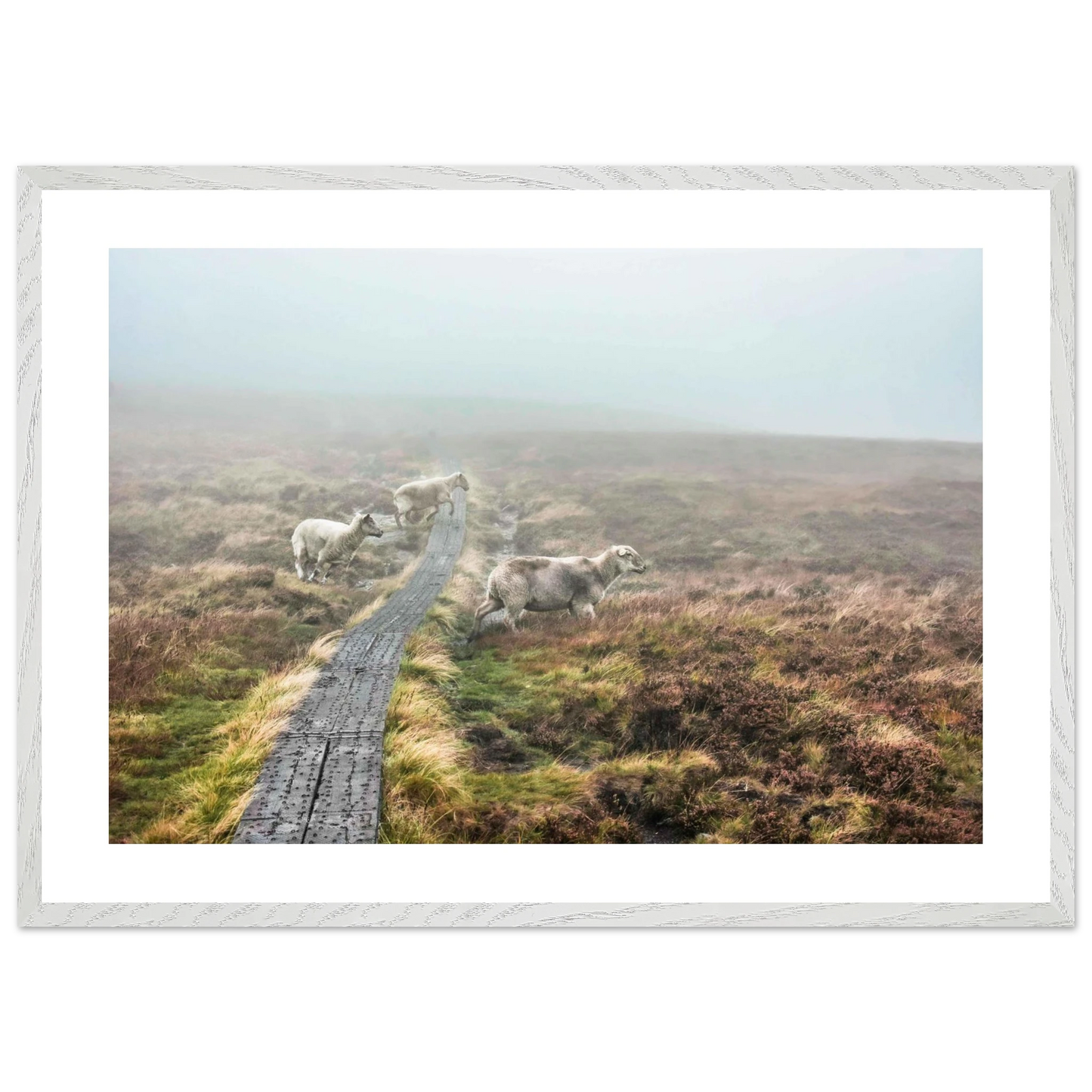 72681afd-f91d-4d33-9820-0ab53ab6c6e6