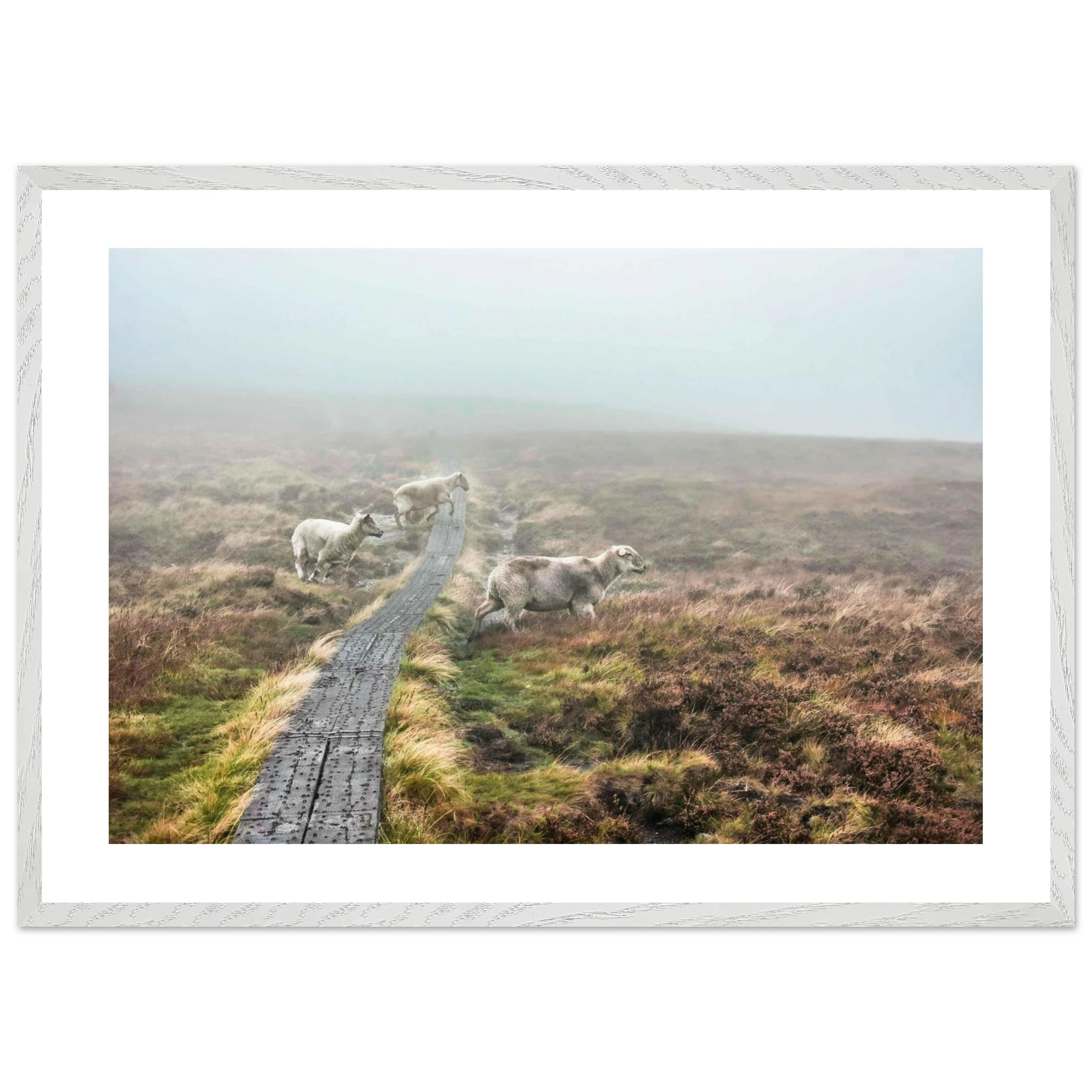 72681afd-f91d-4d33-9820-0ab53ab6c6e6