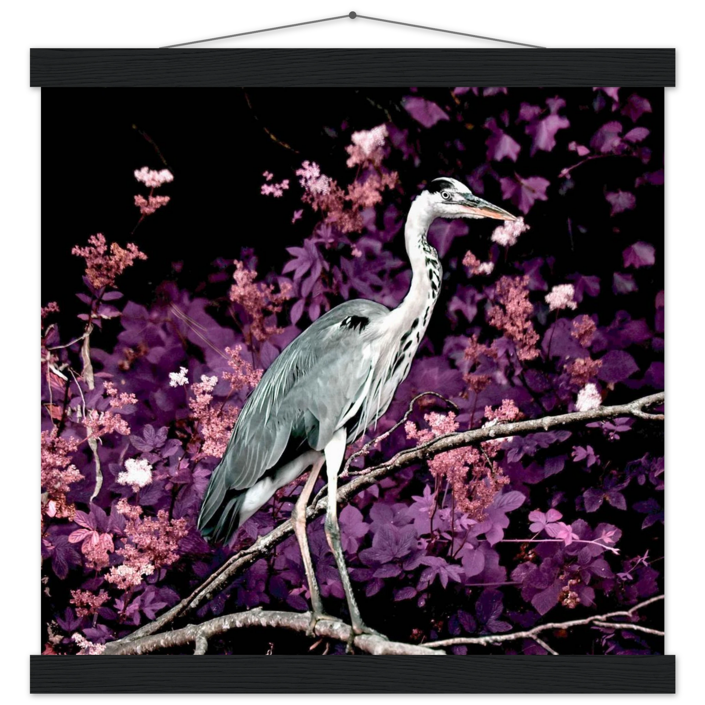 7295bc1a-d63f-4f5e-ba9b-1817be451c84