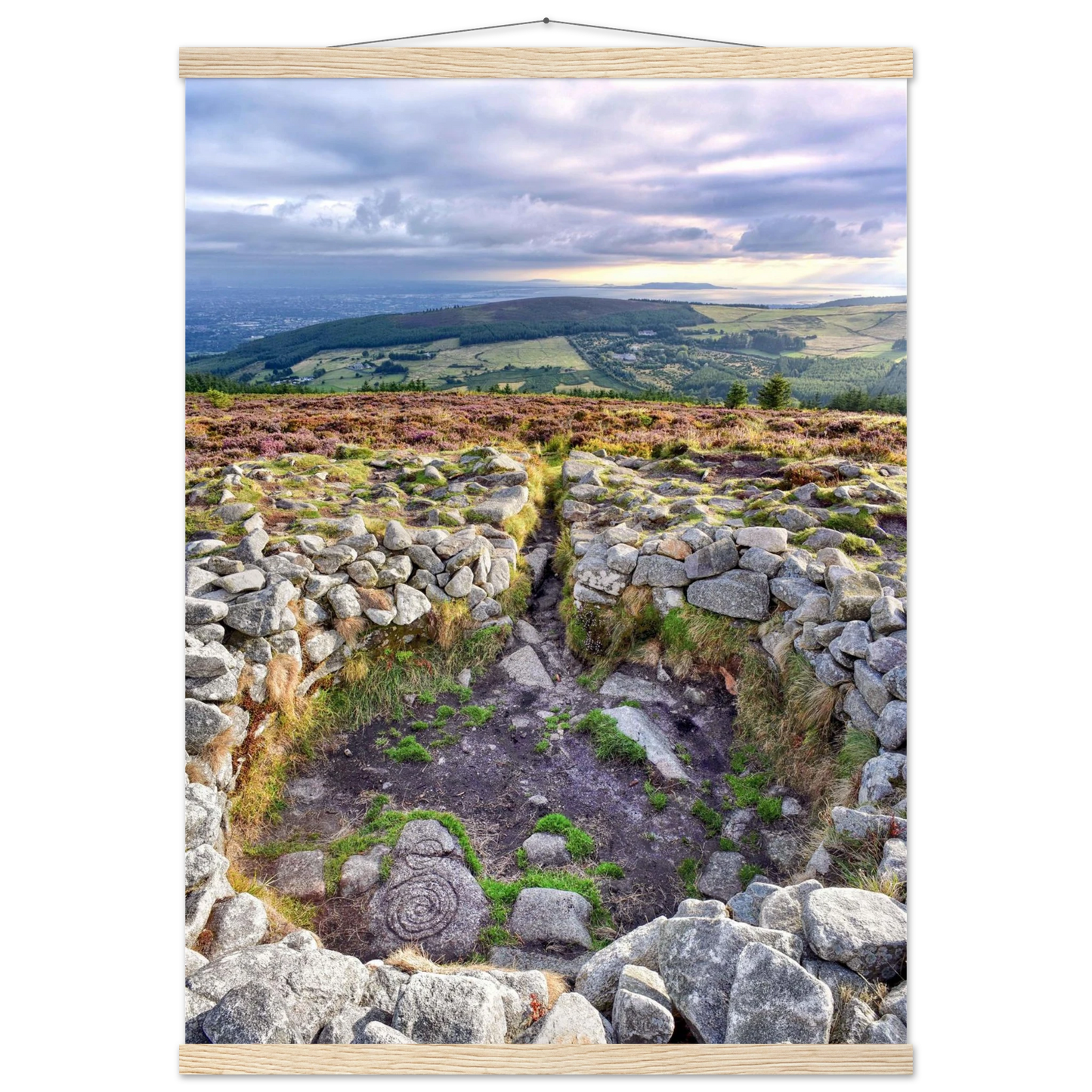 72bf53d7-be8e-45da-88a1-d582f9598415