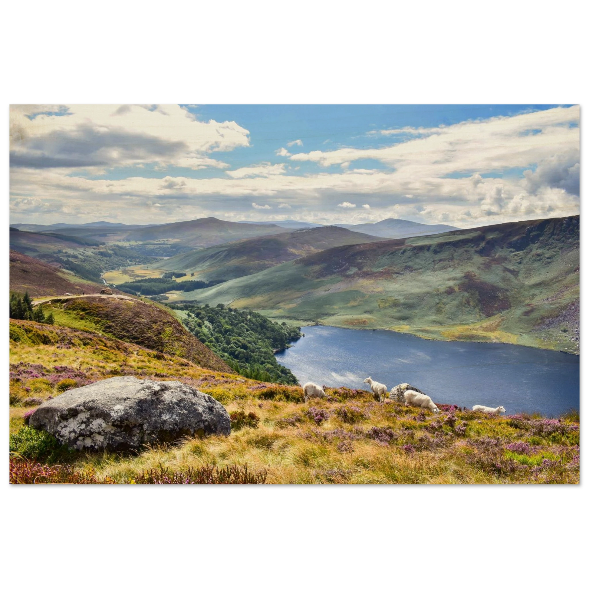 7321e5ff-7c96-4f51-8120-b17f00285693