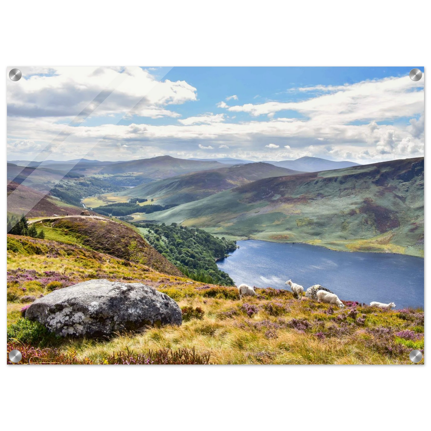 73350bf0-4942-4f68-99ba-fe9dd418fb2d