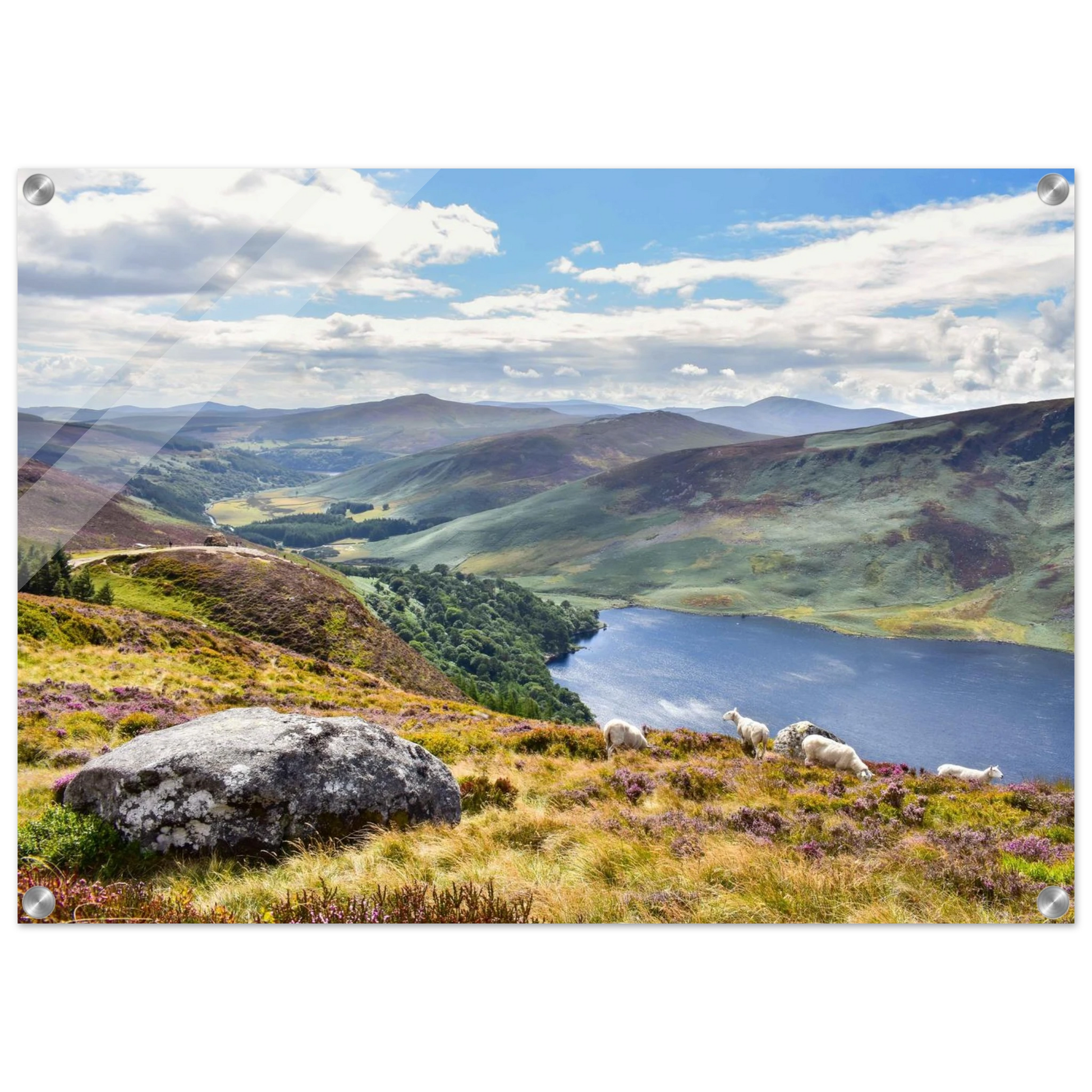 73350bf0-4942-4f68-99ba-fe9dd418fb2d