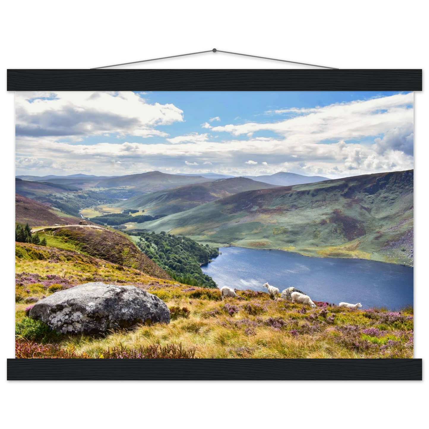 73c9c100-d69f-41e4-a364-6de6adf38ef0