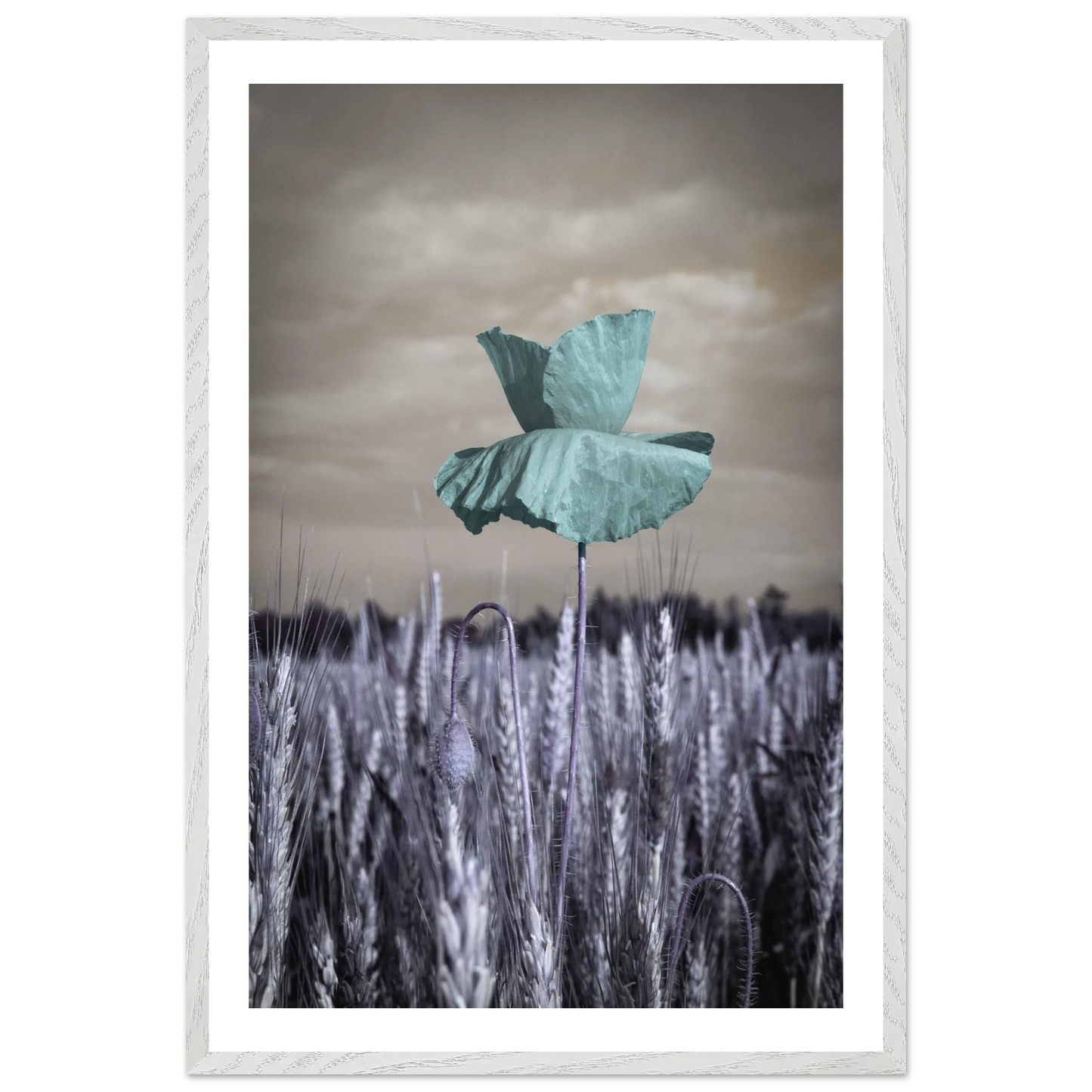 73fc4935-a4e8-4074-920c-1150f6b8962d