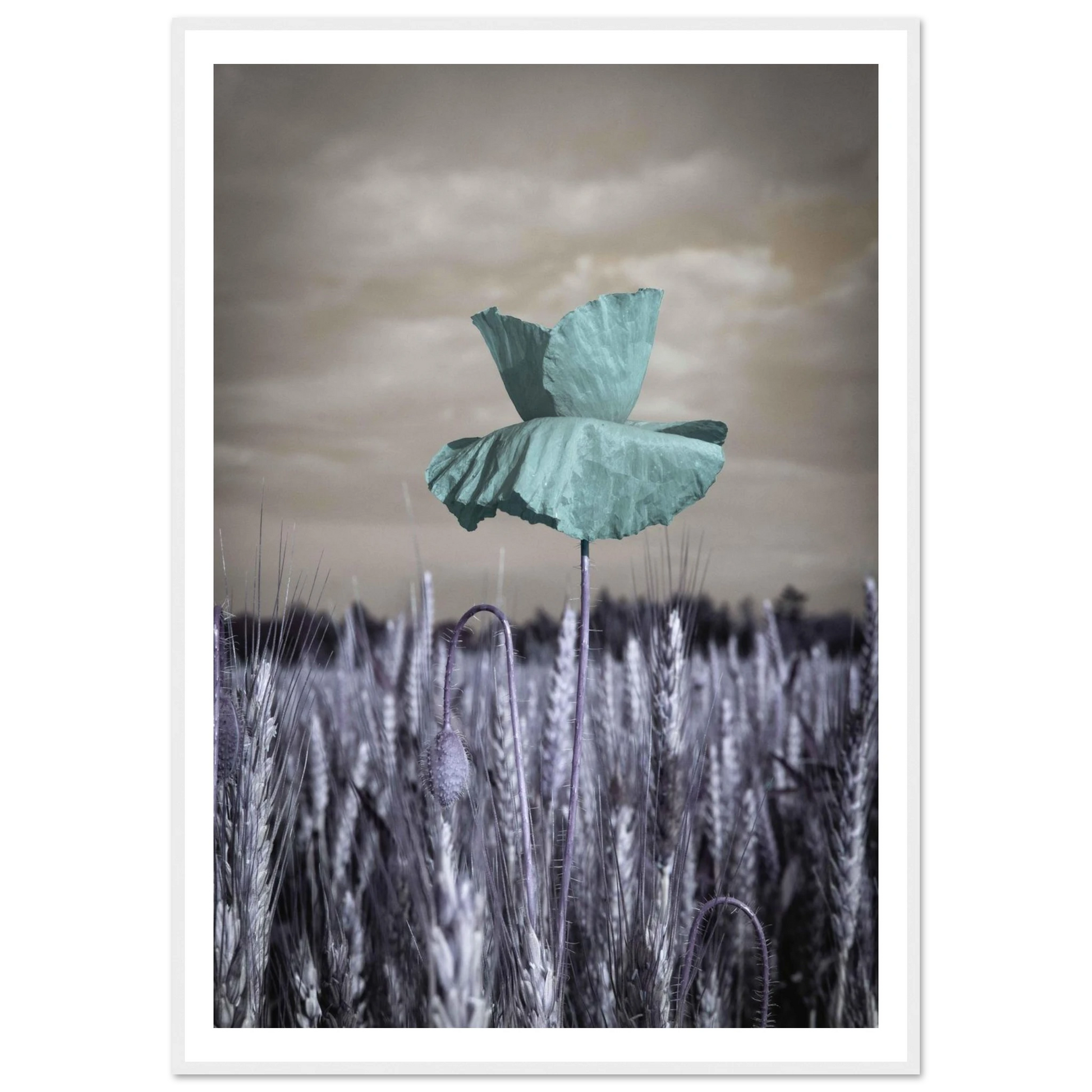 74c6956a-b6af-4219-9fb9-24f918a2b251