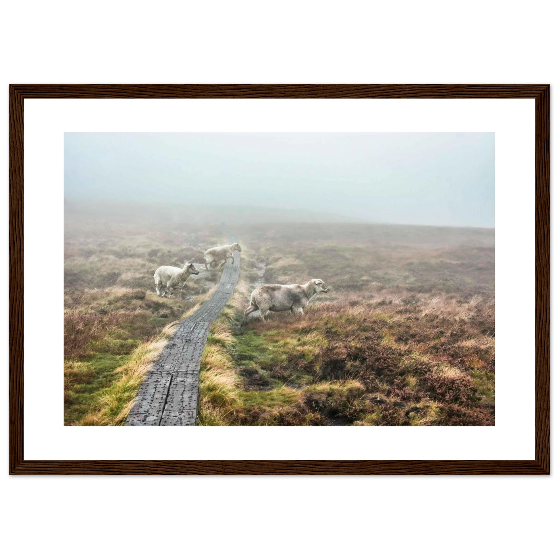 74cd8bc4-6e65-4906-abf5-d6170d9d7b5c