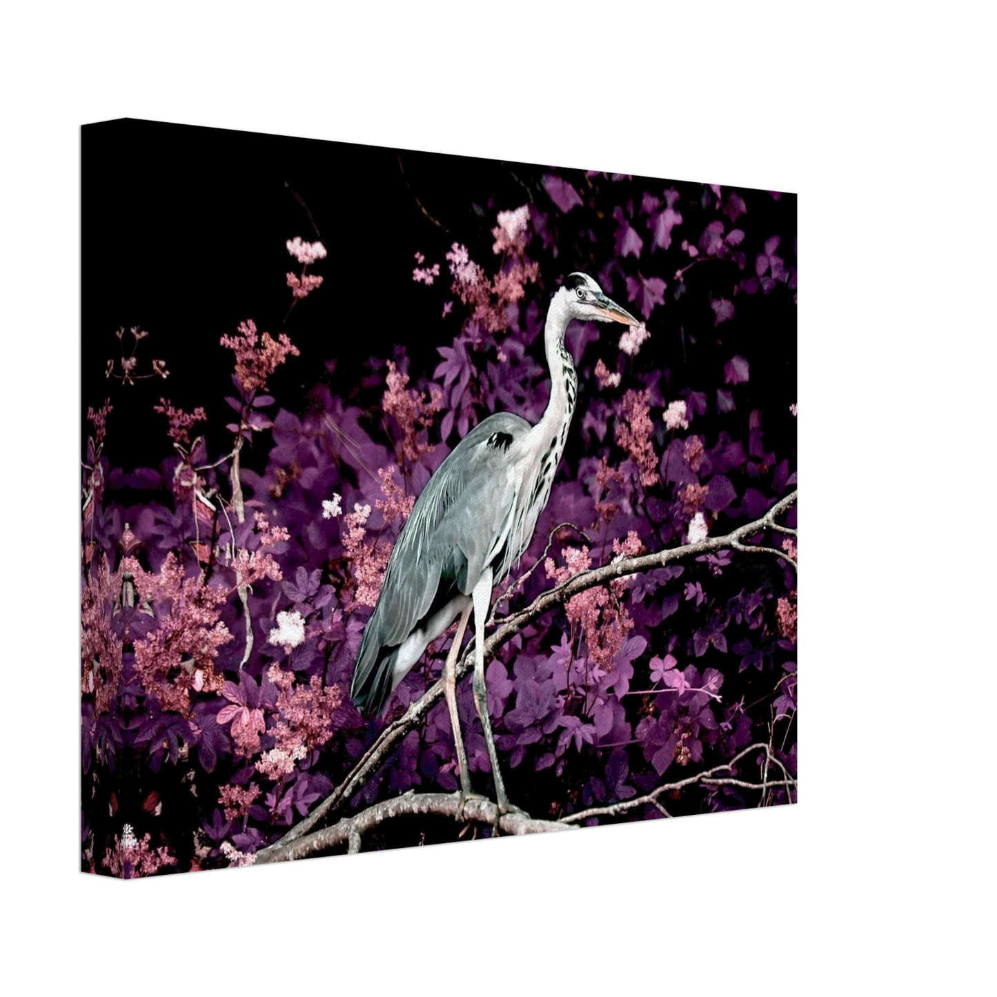 75646588-63c6-42af-ada3-23a361d311f5