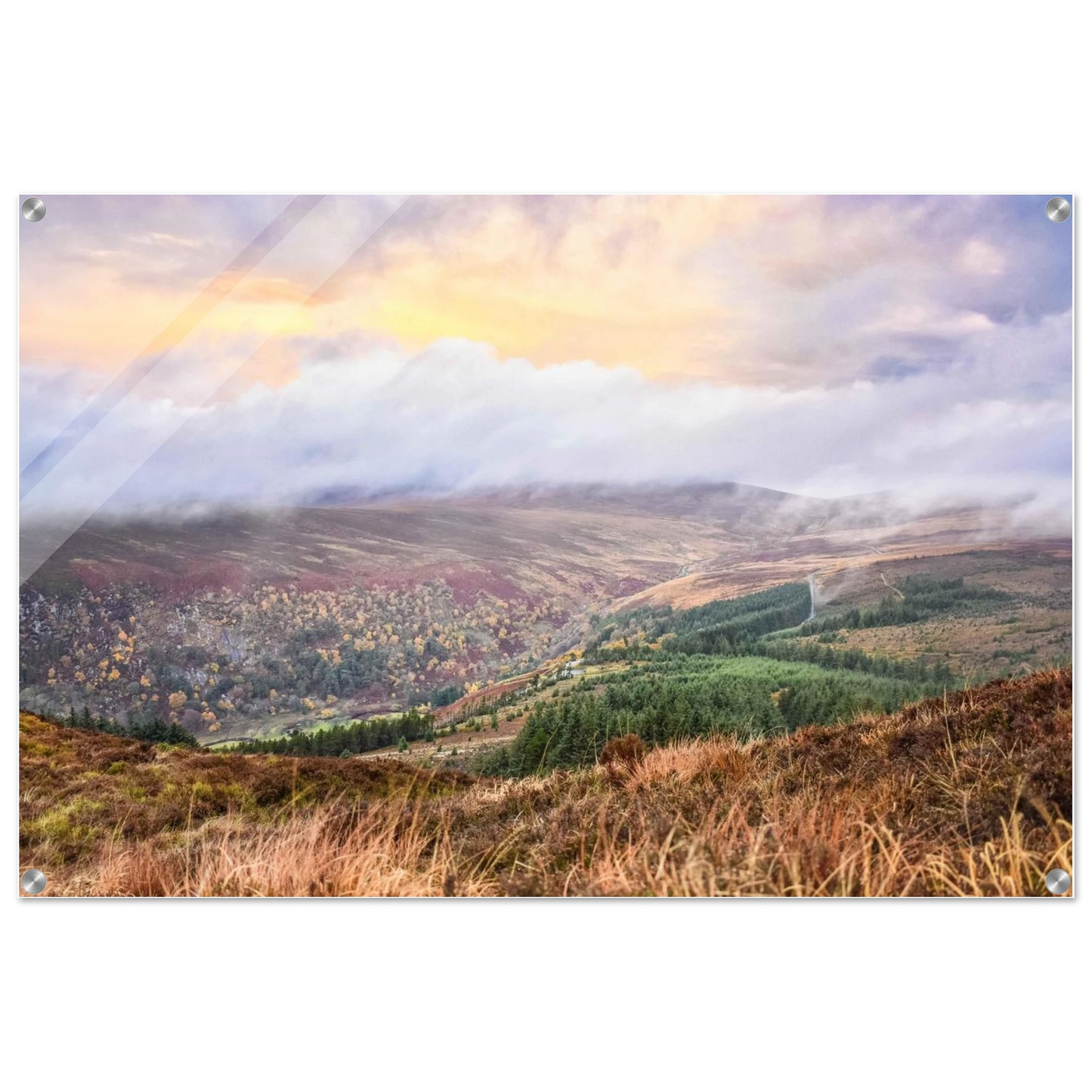 758612ab-8399-4661-b8f3-76f9fd686a9e