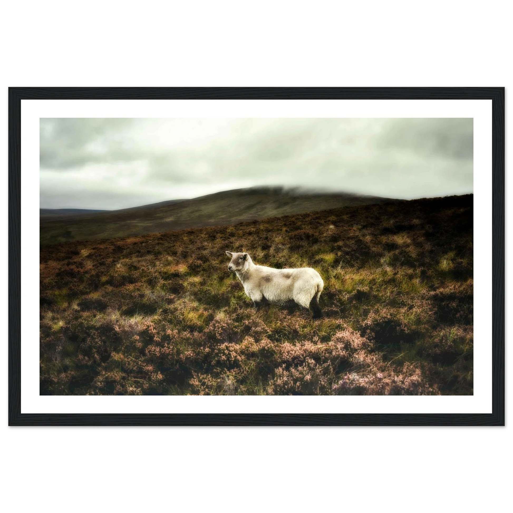 764dca8a-3cbd-479d-a044-b4c909db5e27